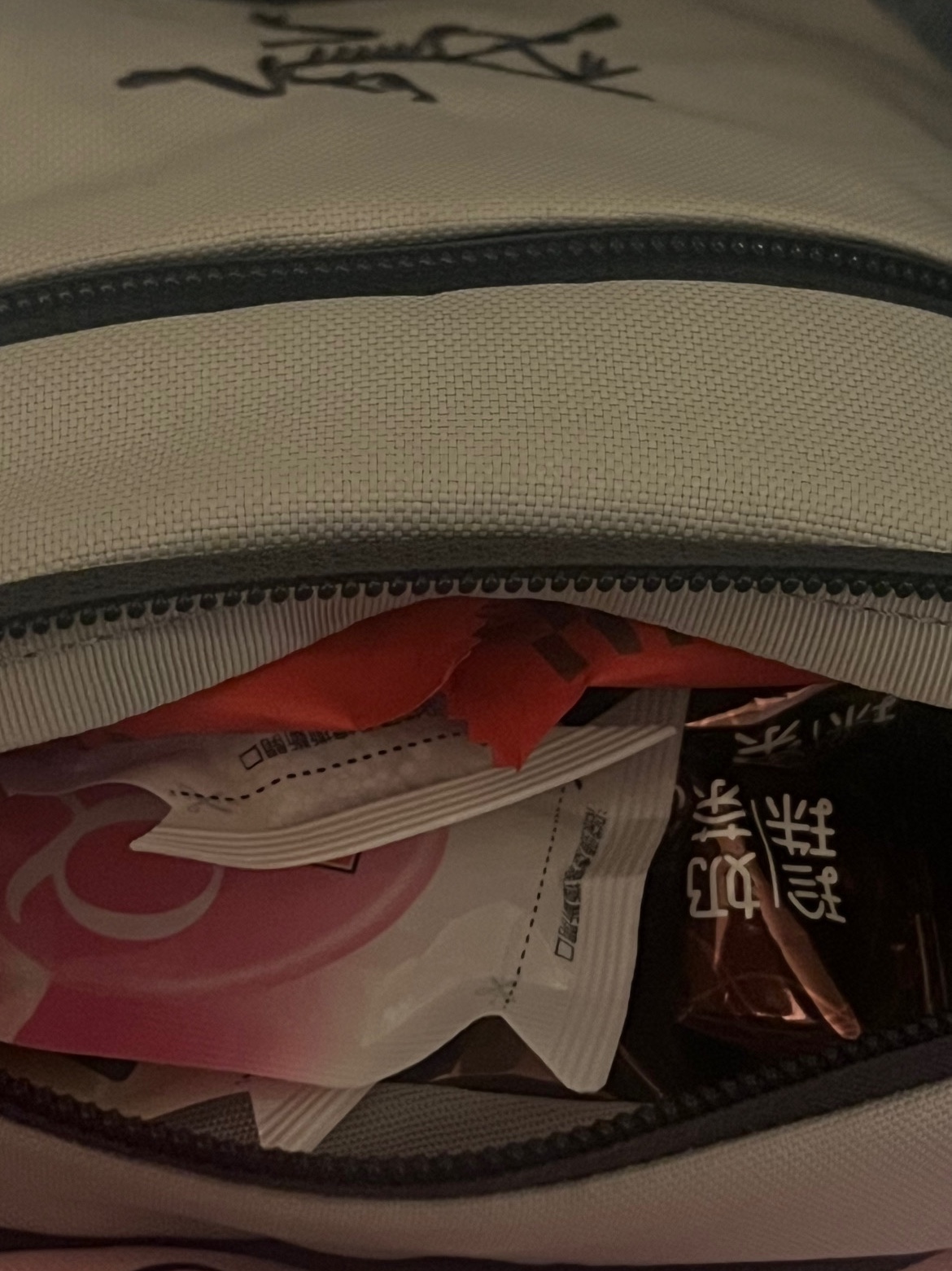 Patagonia Lightweight Synchilla Snap-T Fleece Pullover Oatmeal Heather/Smolder Blue/New Navy, Arc'teryx Mantis 1 Waistpack Solitude Graphite 착용 스타일 - 2