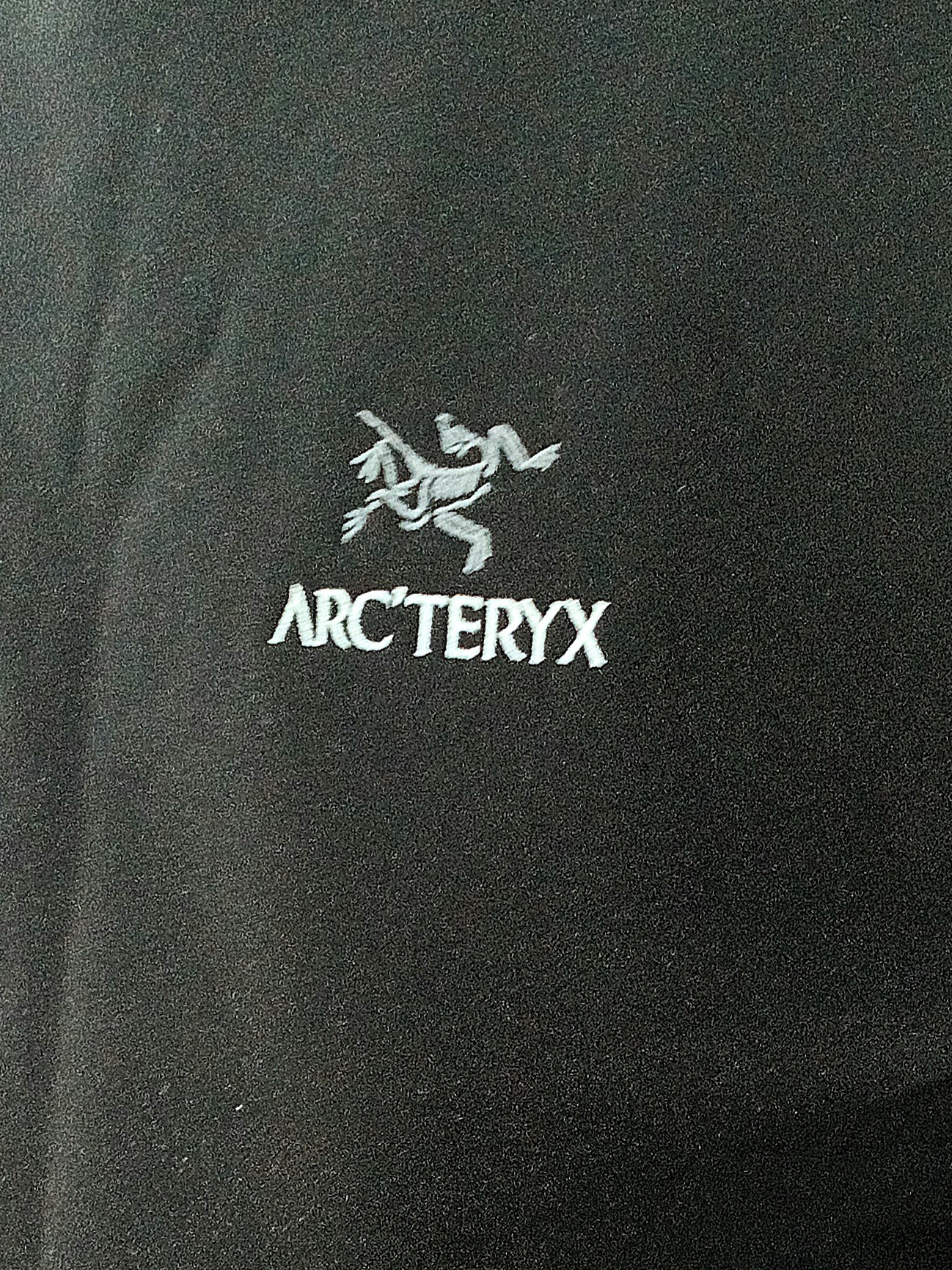 Arc'teryx Emblem Fleece Crew Neck Pullover Black 착용 스타일 - 4