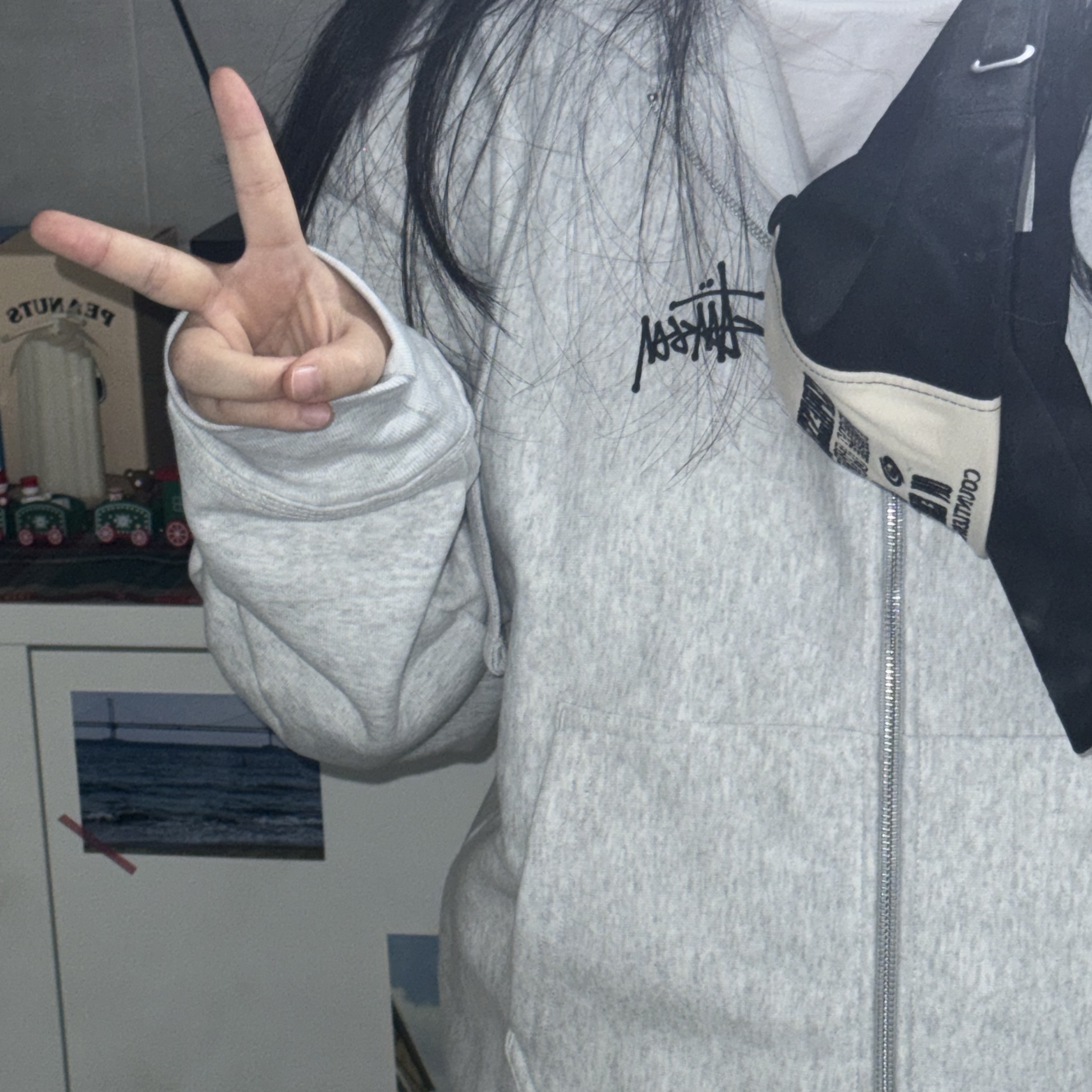 Stussy Basic Stussy Zip Hoodie Ash Heather 착용 스타일