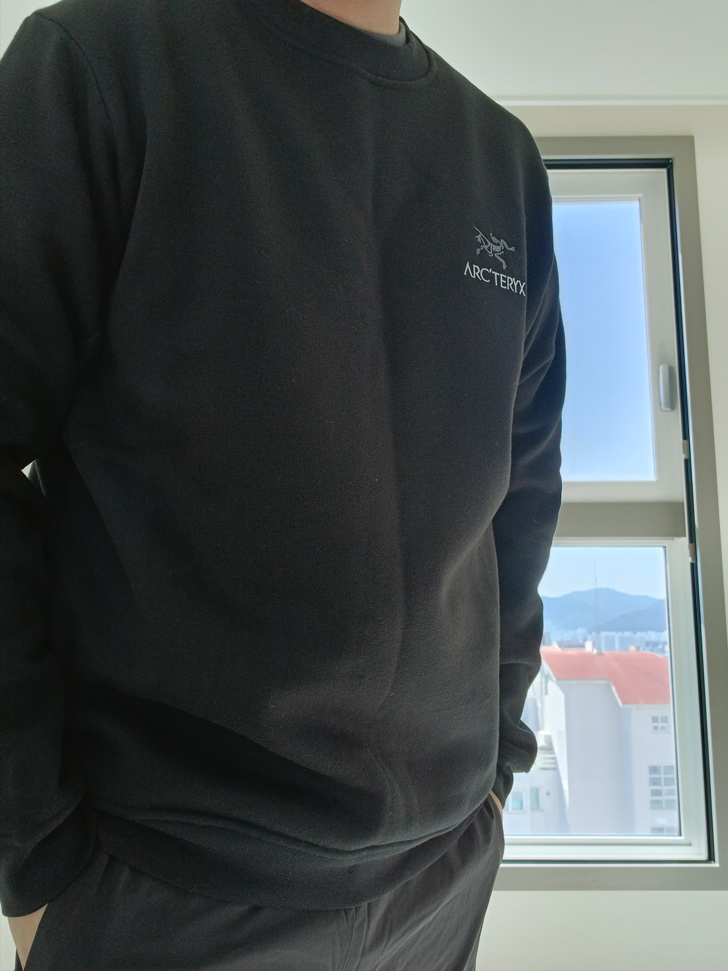 Arc'teryx Emblem Fleece Crew Neck Pullover Black 착용 스타일 - 2