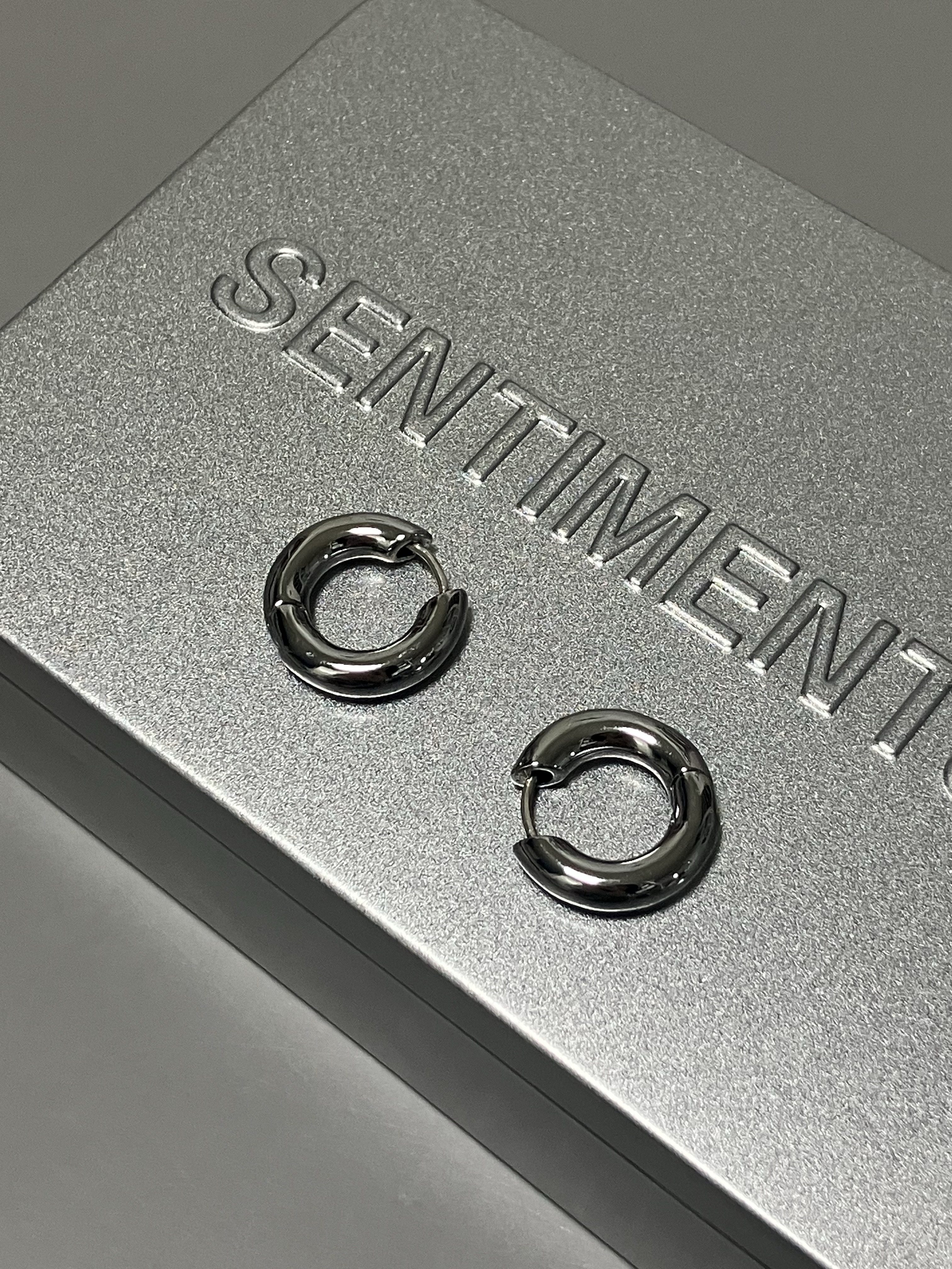 Sentiments No.247 Earring Silver 착용 스타일