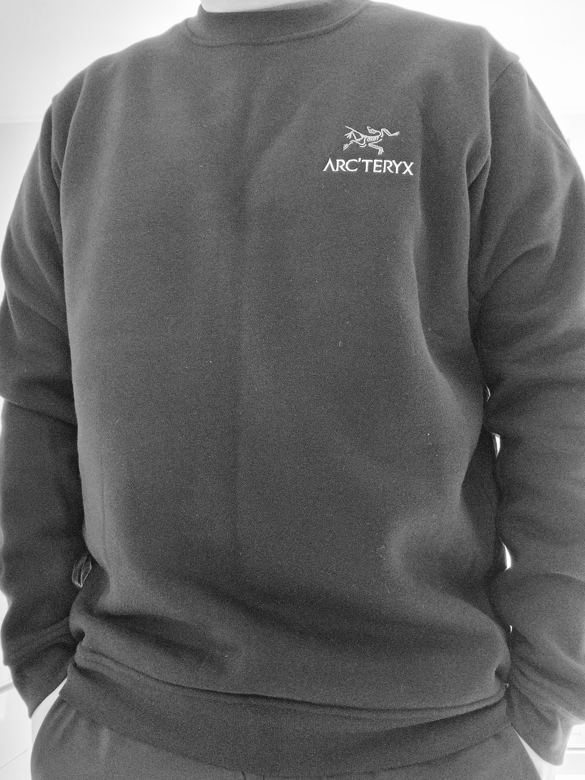 Arc'teryx Emblem Fleece Crew Neck Pullover Black 착용 스타일 - 3