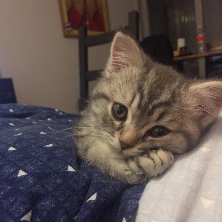 관심 유저 프로필 이미지