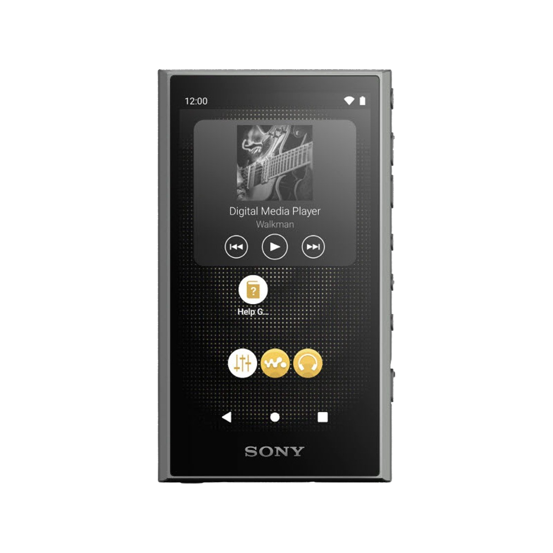 NW-A306-GY Sony NW-A306 Grey (Sony Korea Ver.)