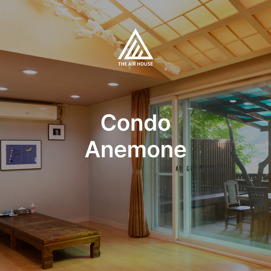 25TAHHC08 Condo - Anemone