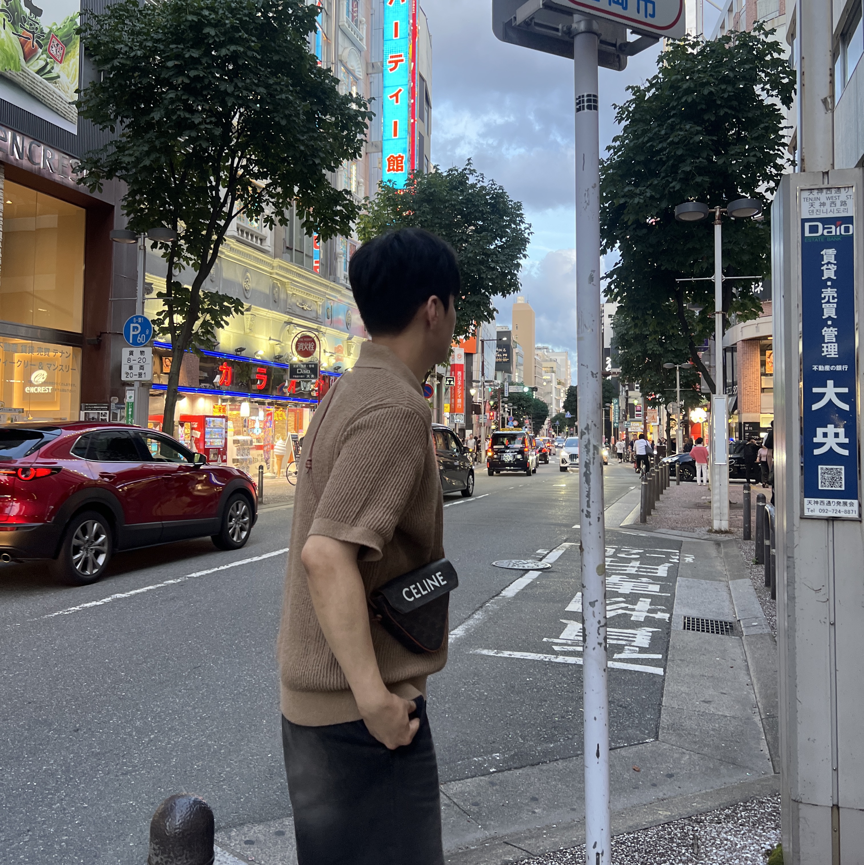 Celine Triangle Bag in Triomphe Canvas with Celine Print Tan 착용 스타일