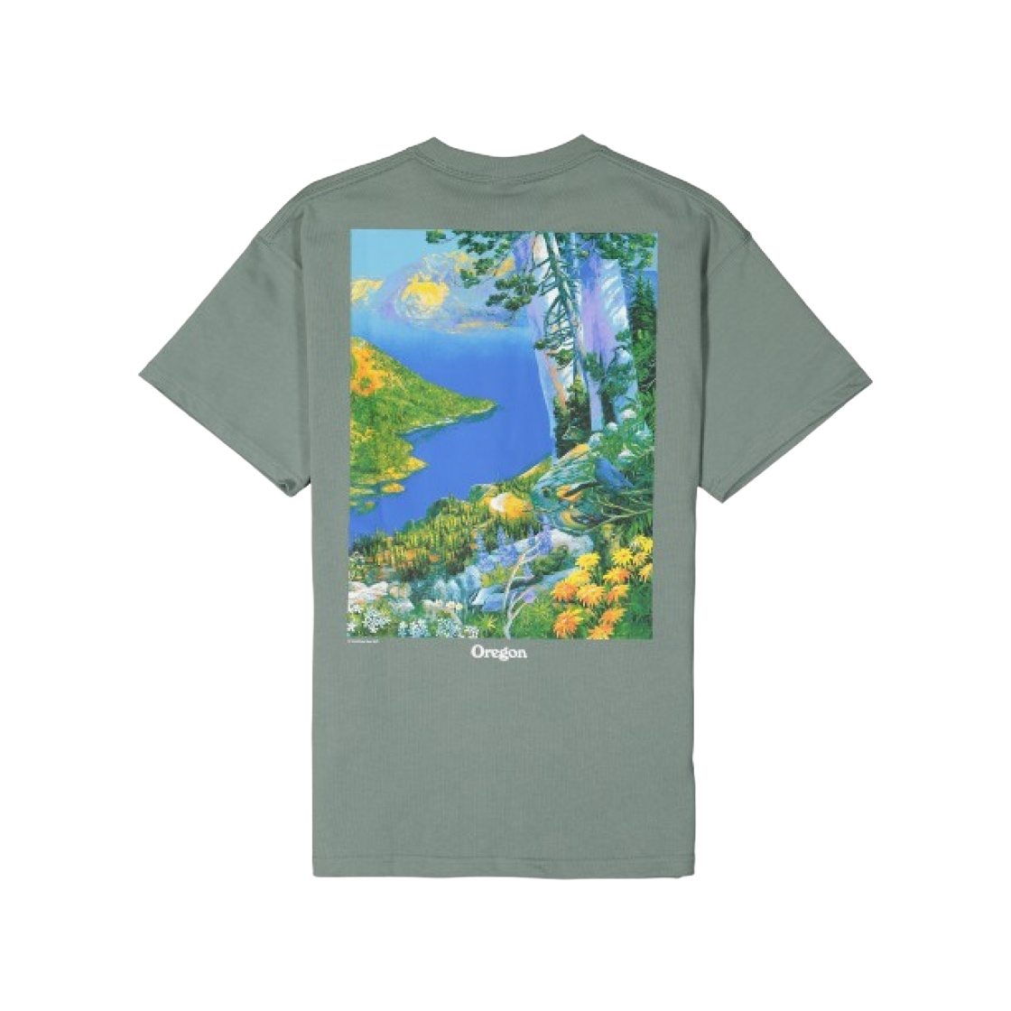 nike crater lake shirt