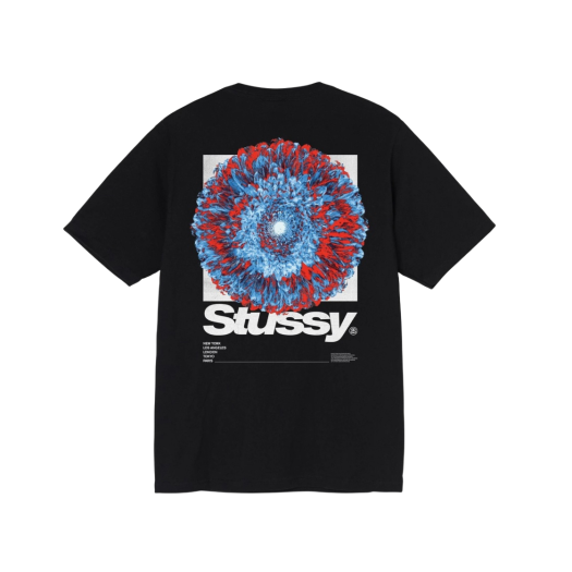 Stussy Young Organics T-Shirt Black