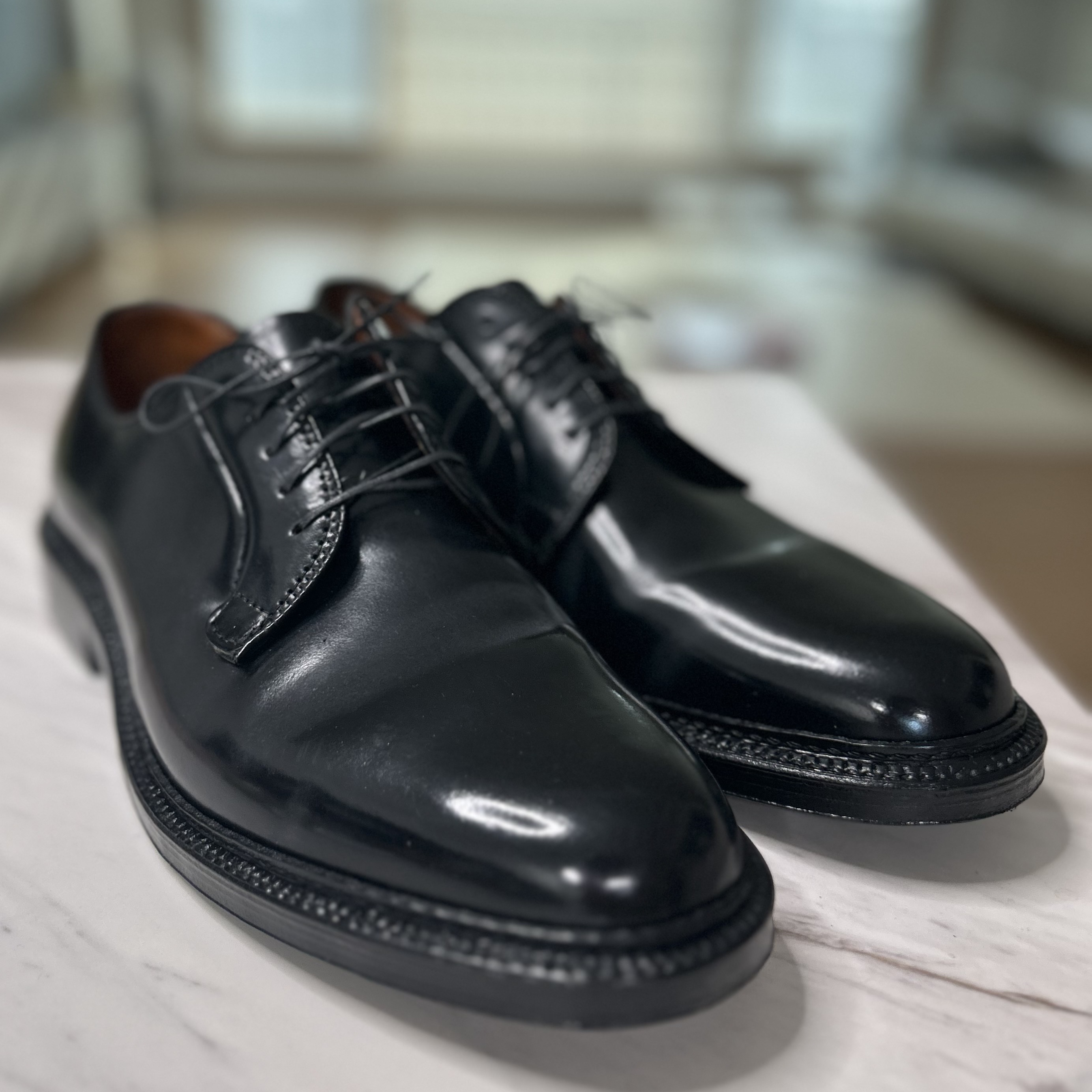 Alden 9901 Cordovan Plain Toe Blucher Oxford Black - D 착용 스타일 - 2