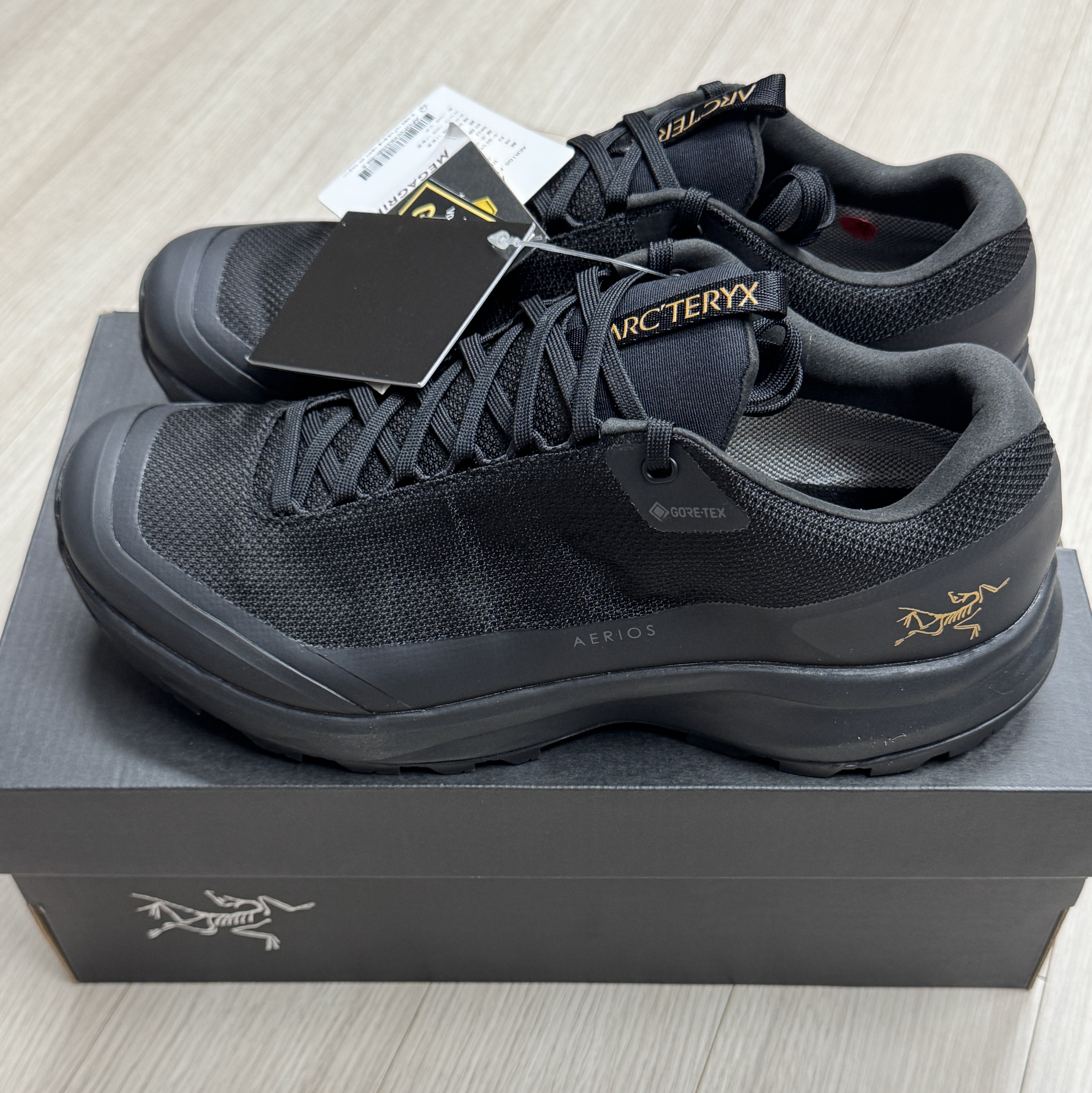(W) Arc'teryx Aerios FL 2 GTX Black 착용 스타일