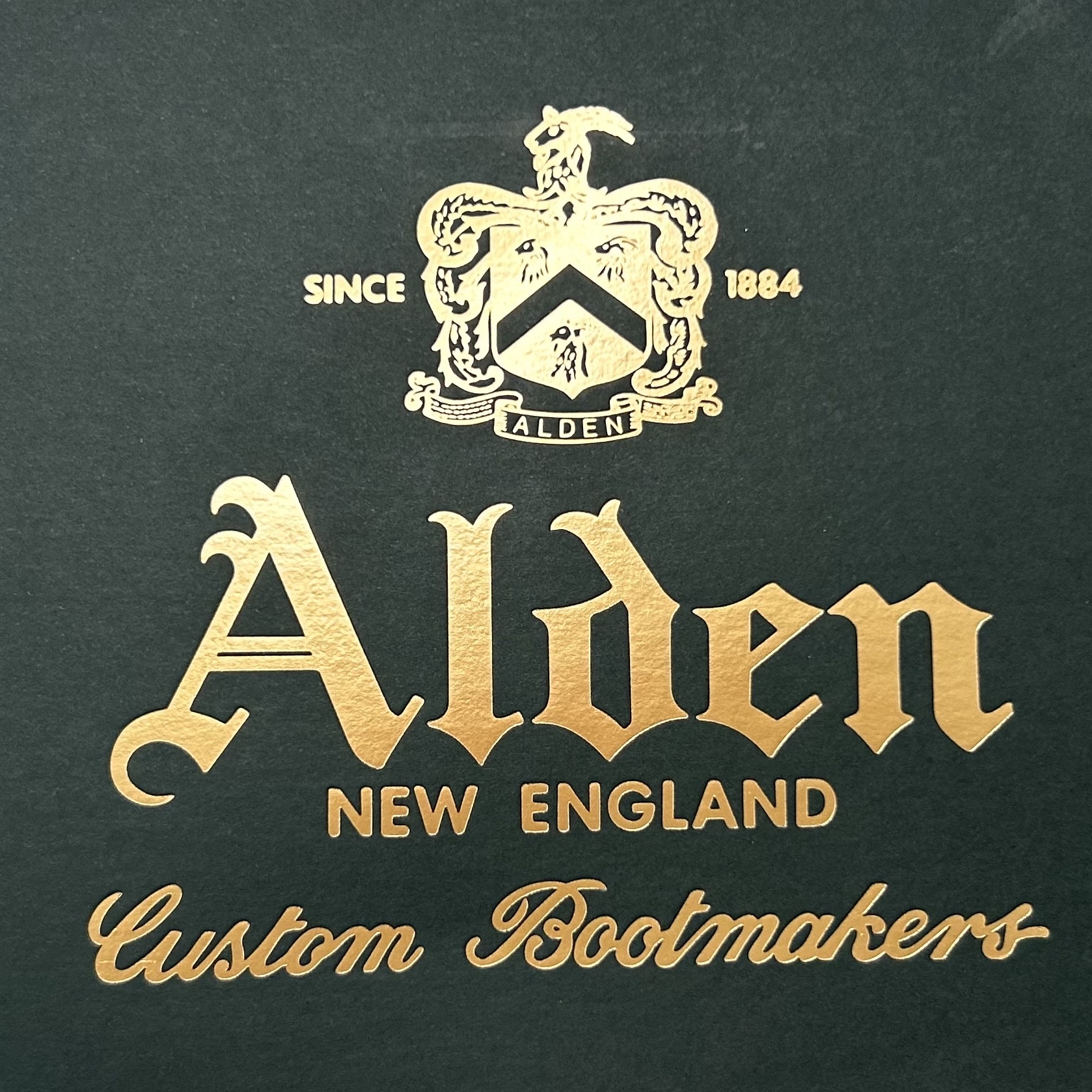 Alden 9901 Cordovan Plain Toe Blucher Oxford Black - D 착용 스타일 - 1