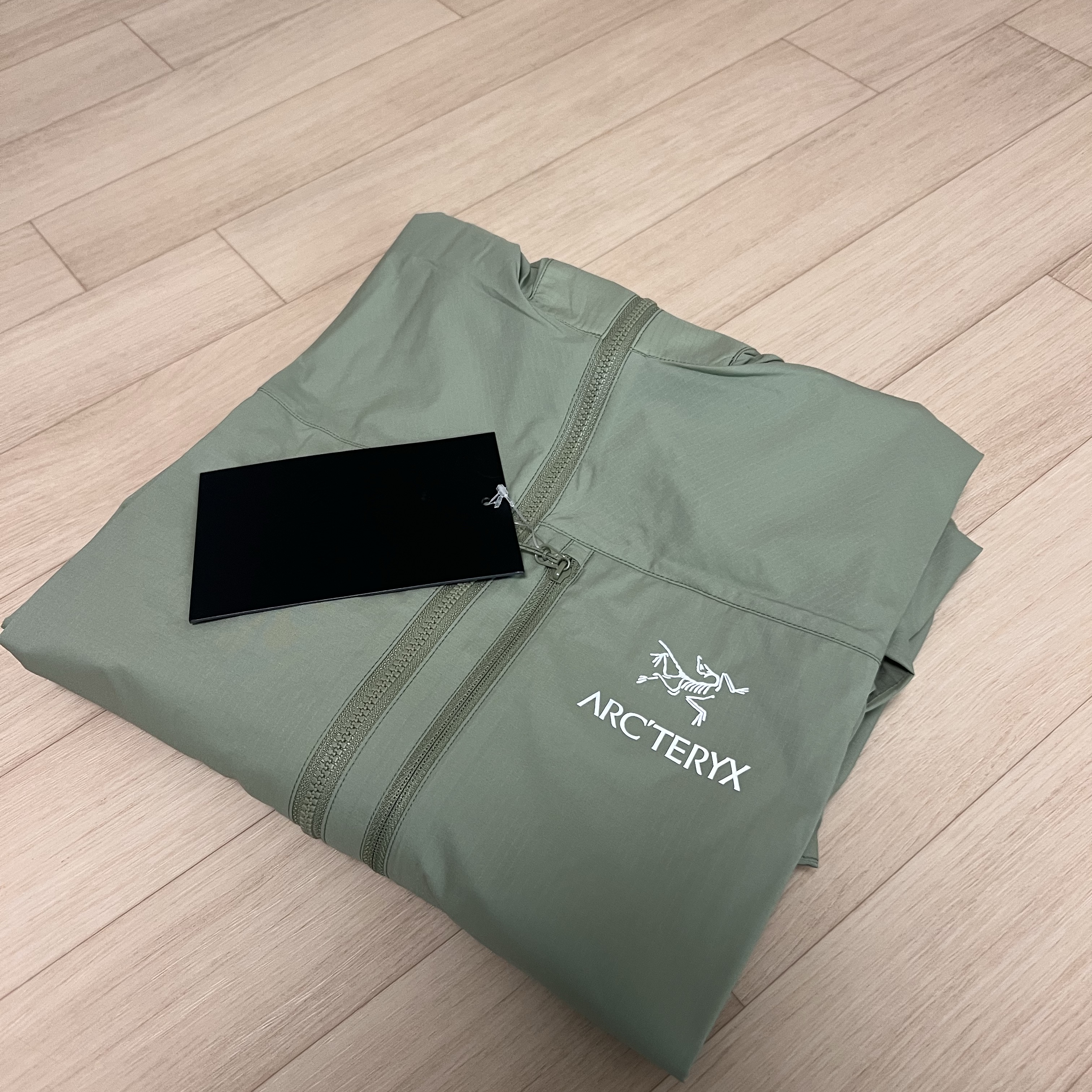 Arc'teryx Squamish Hoody Chloris 착용 스타일