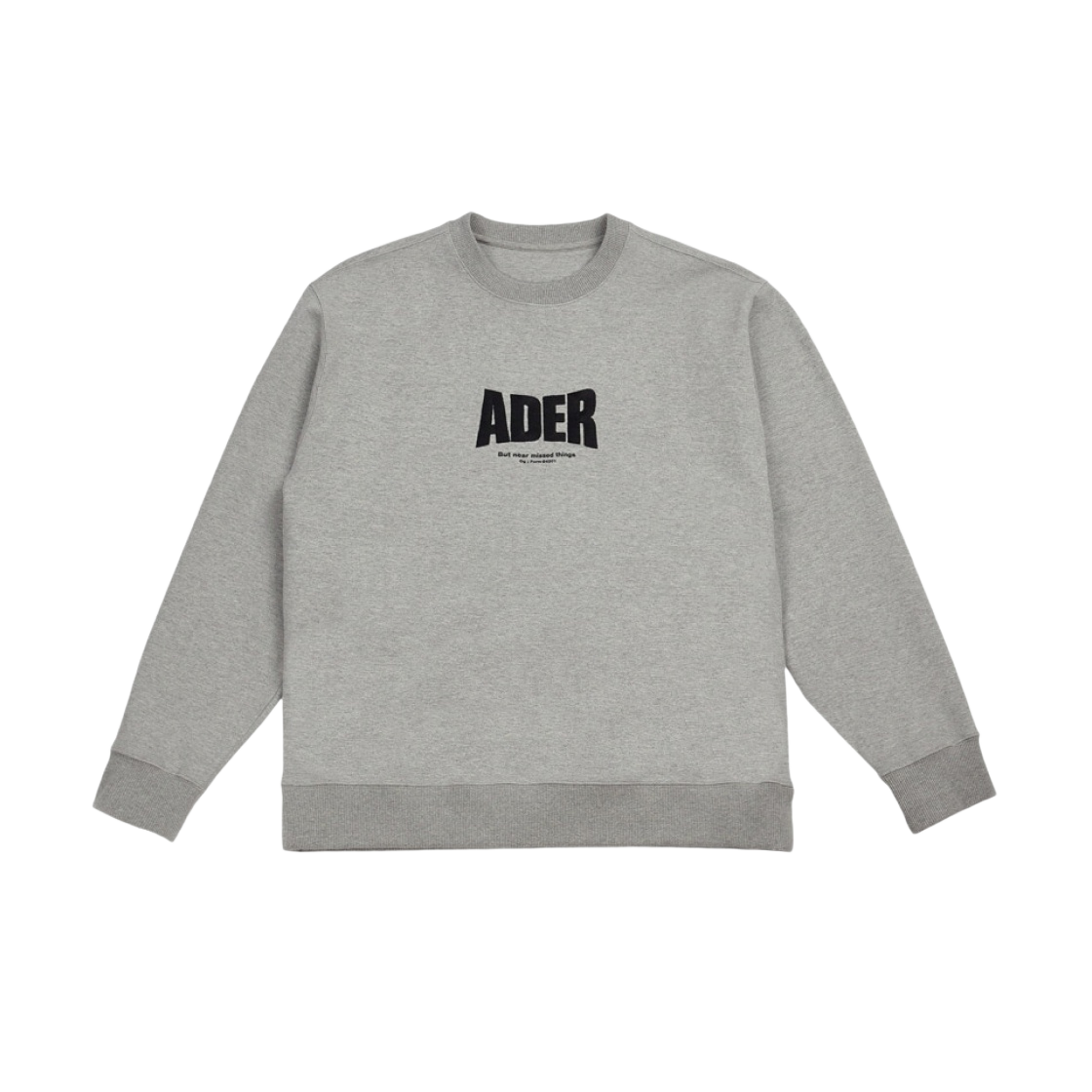 BT1FWSW01GR Ader Error Og; Form @4201 Sweatshirt Grey - 대표 이미지 #1