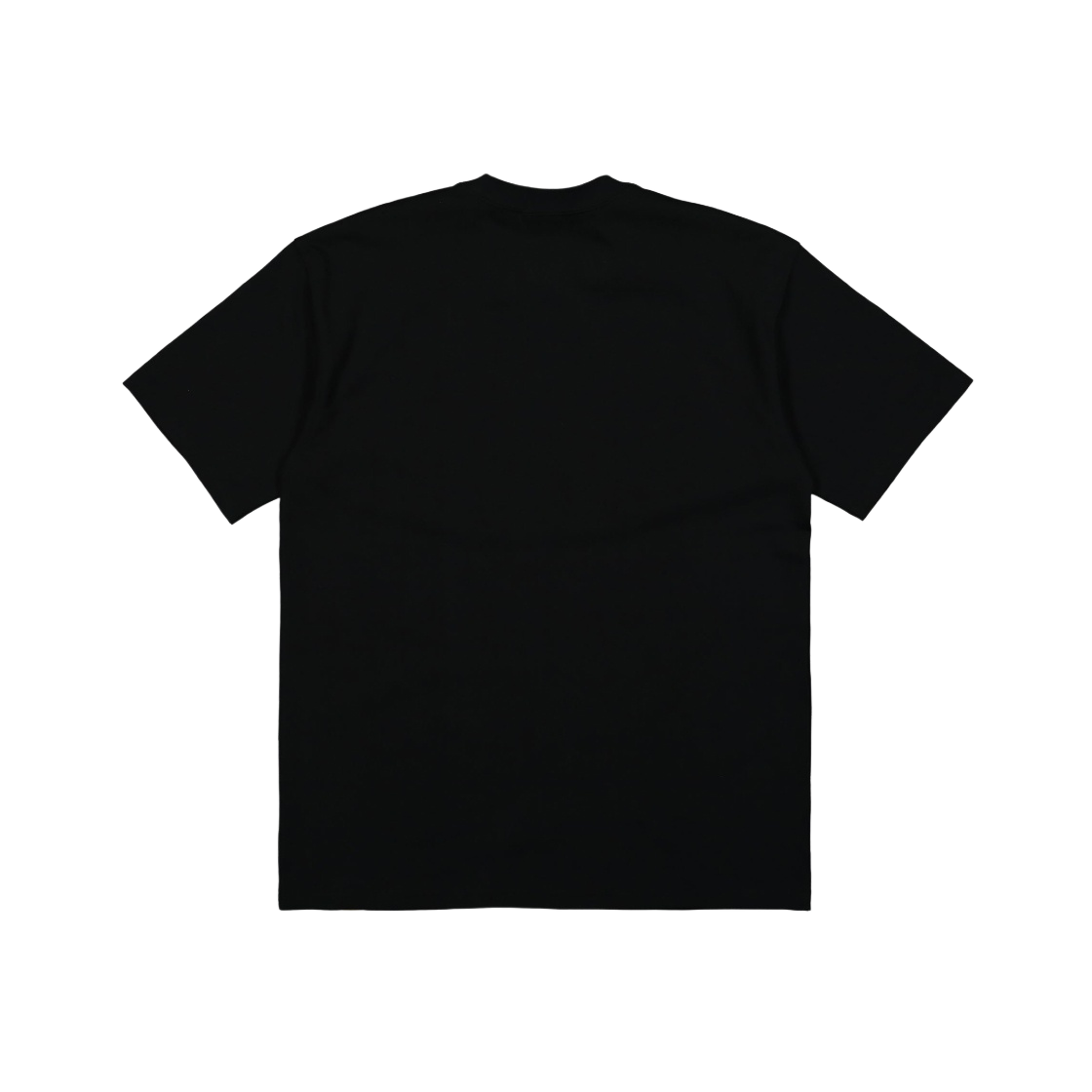 DR7755-010 Nike NRG ACG Hike Box T-Shirt Black - US/EU - #2