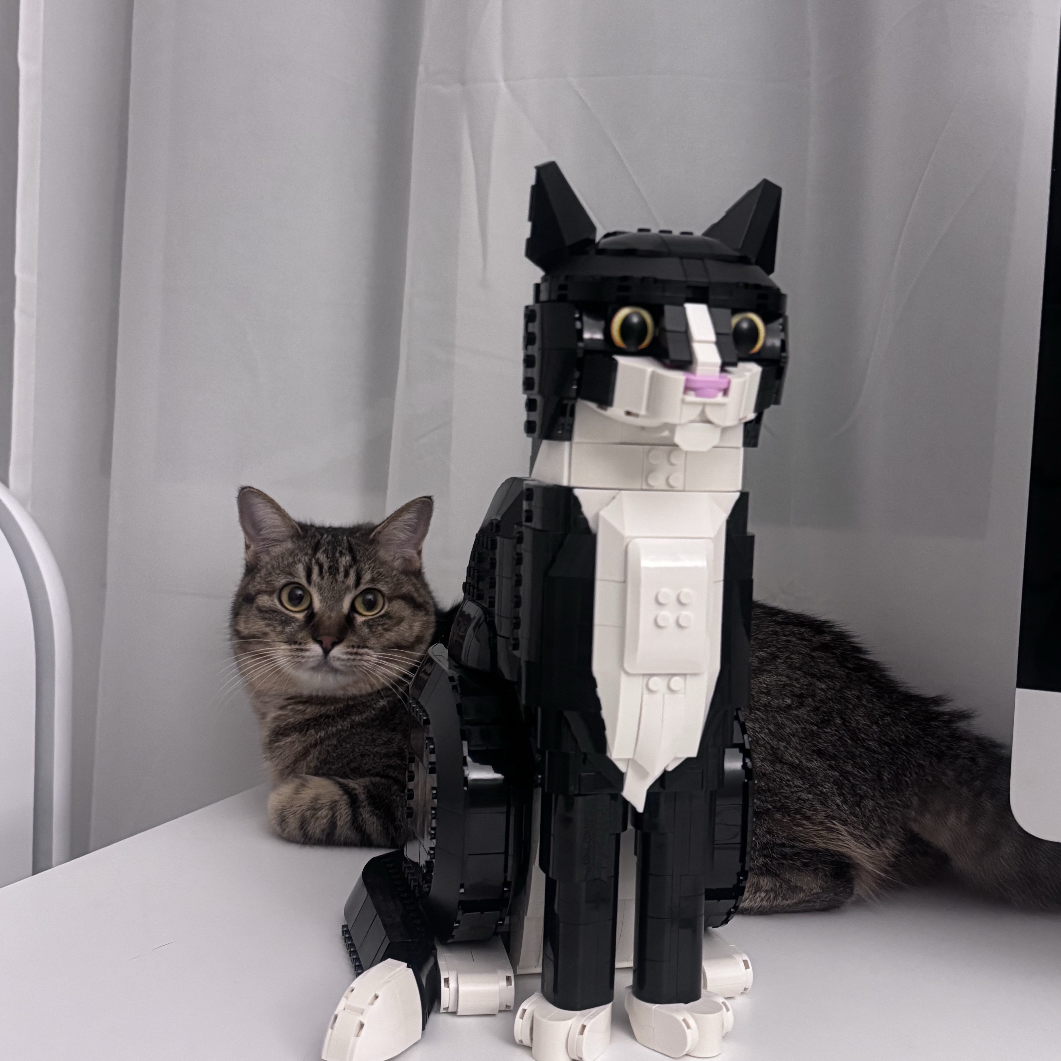 Lego Idea Tuxedo Cat 착용 스타일 - 2
