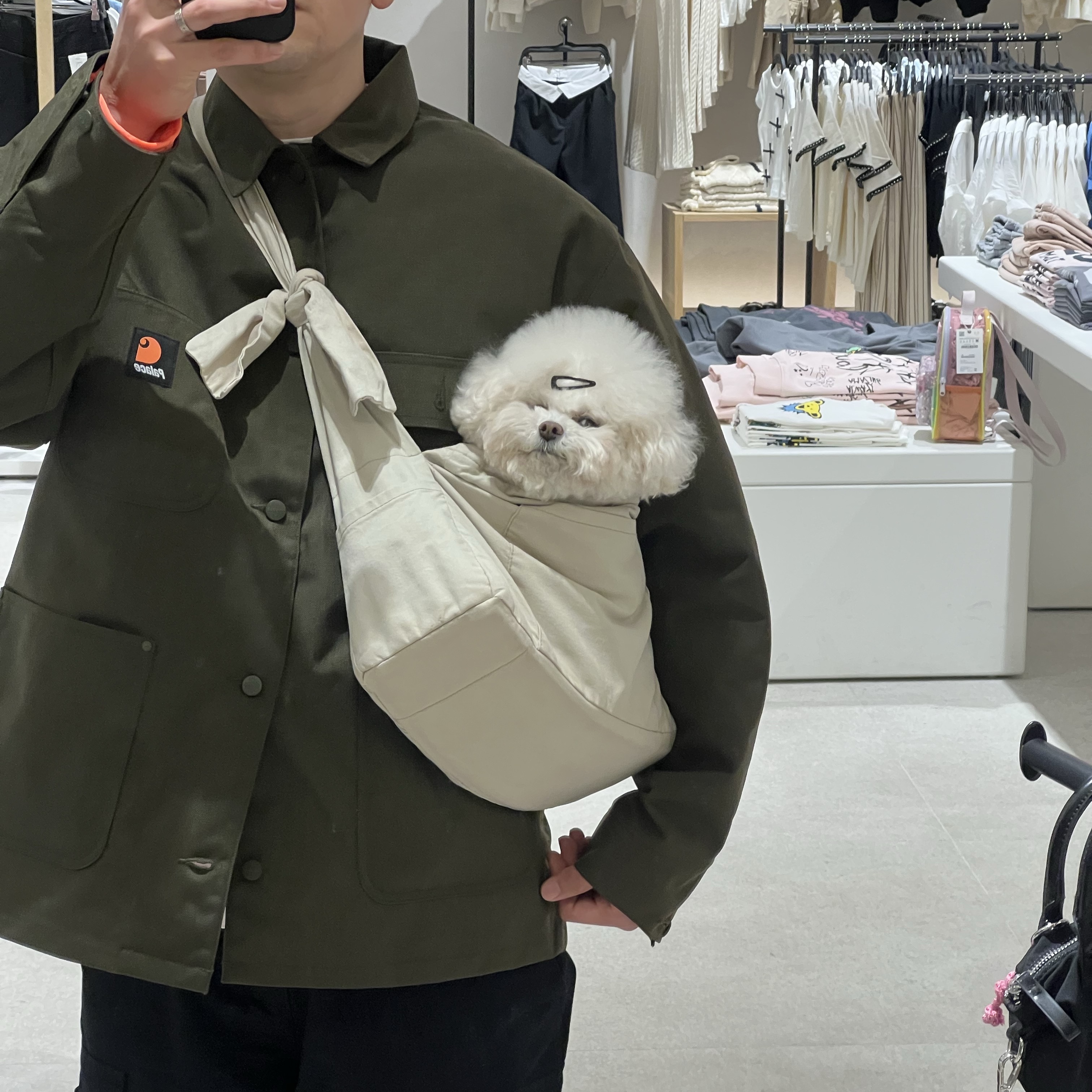 Palace x Carhartt WIP Chore Coat Plant - 24FW, Jordan 1 Element Gore-Tex Light Curry 착용 스타일 - 5