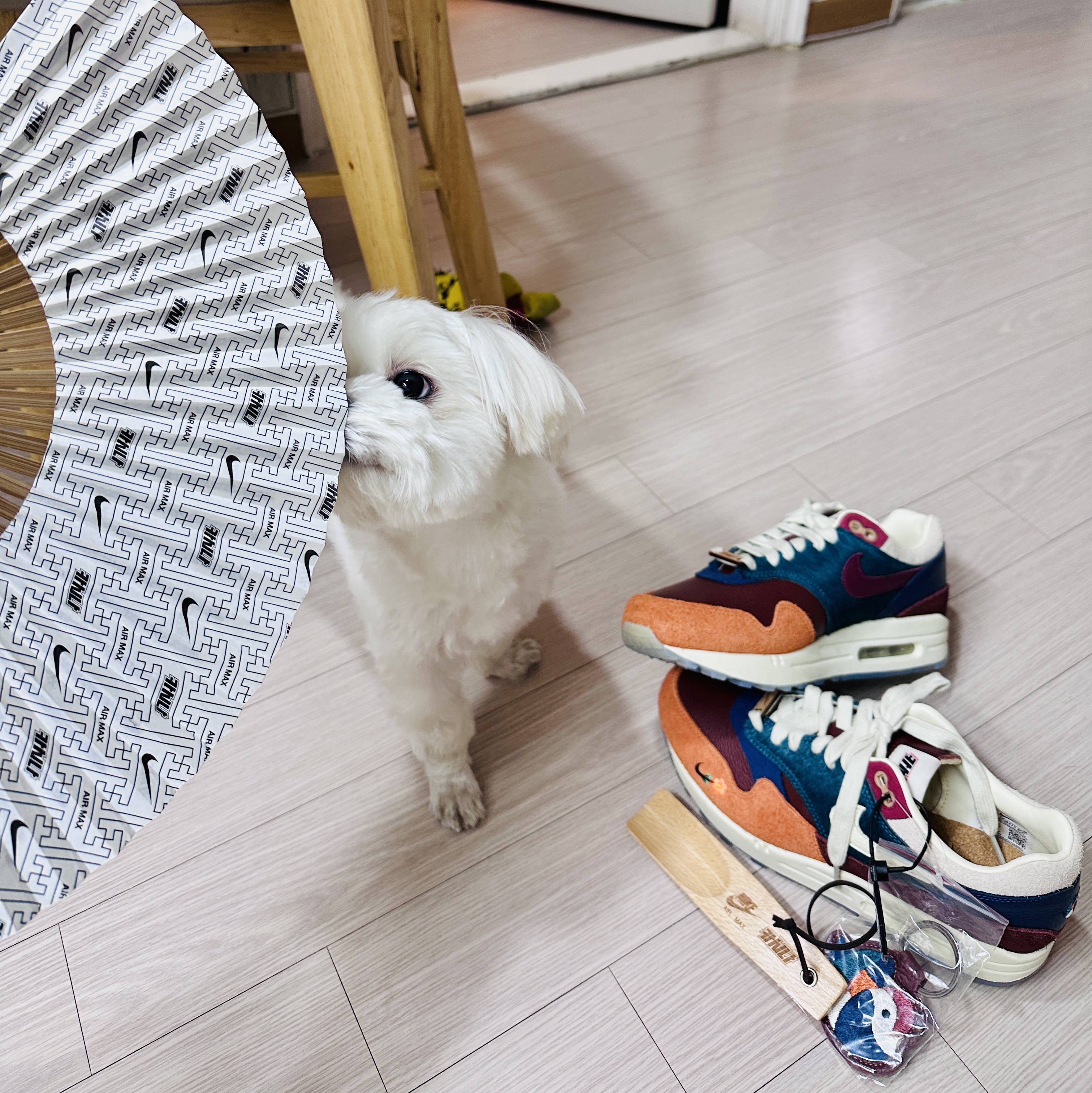 Nike x Kasina Air Max 1 SP Won-Ang Orange (With Special Gift) 착용 스타일