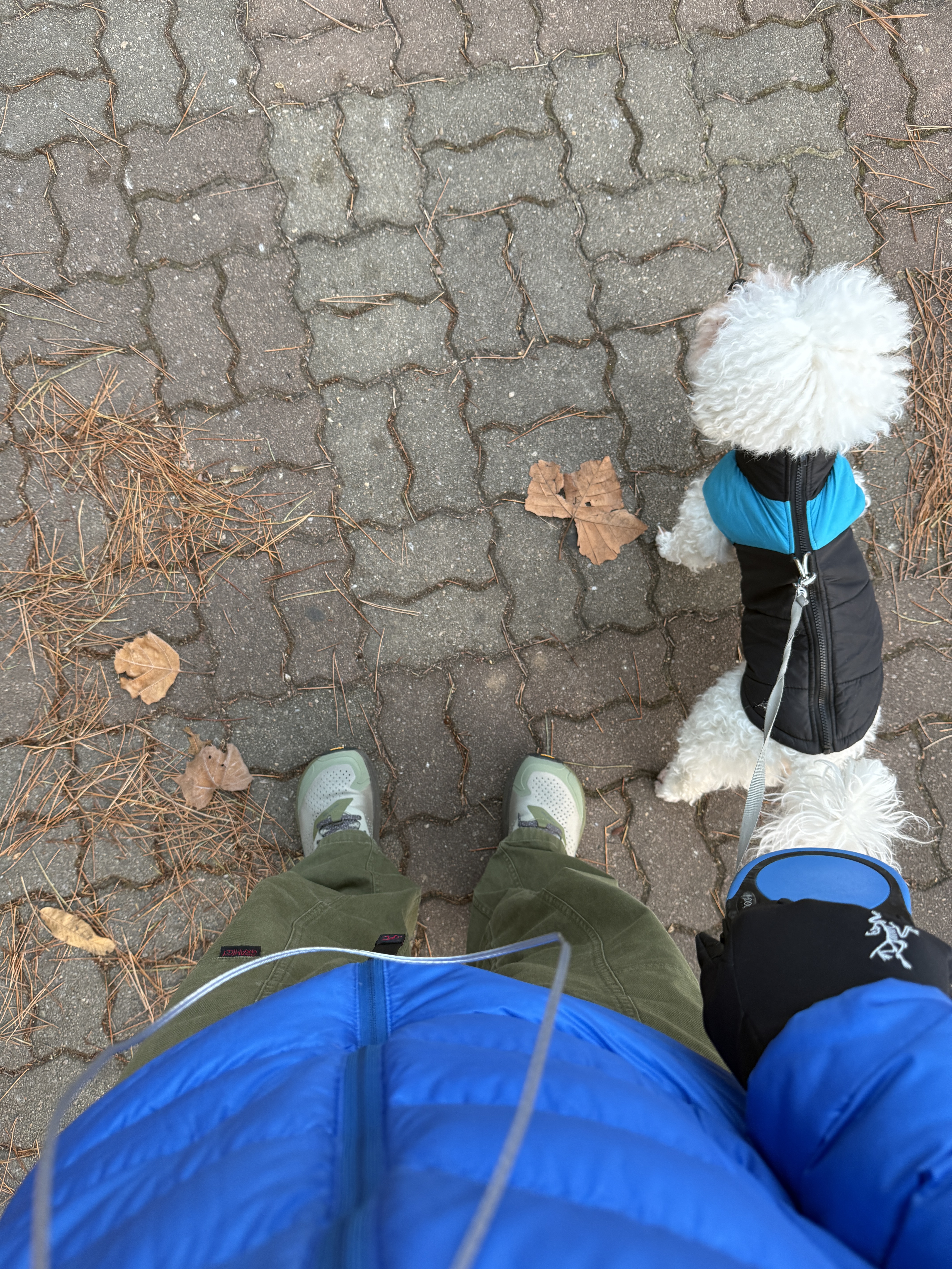 Arc'teryx Cerium LT Hoody Fluidity 착용 스타일
