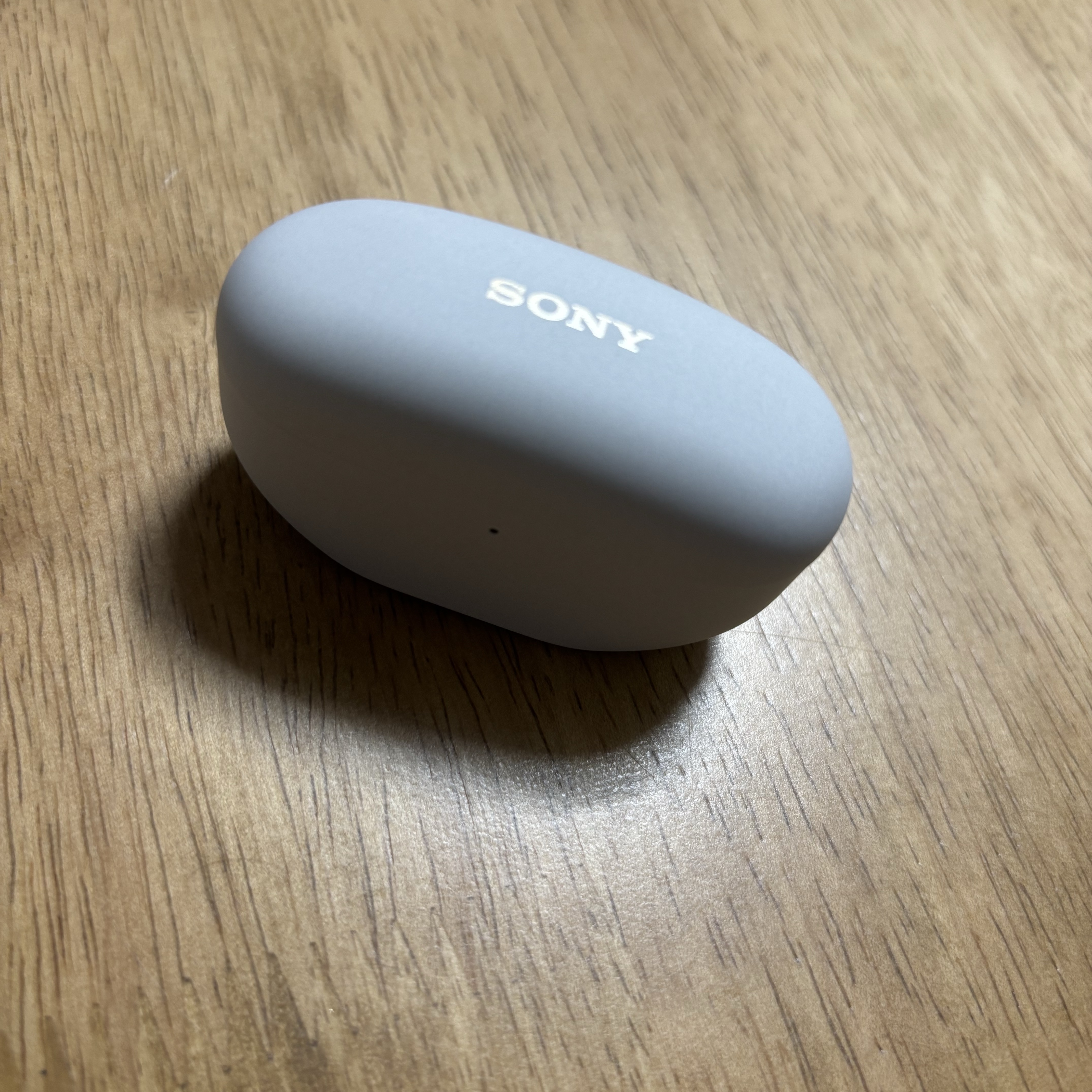 Sony WF-1000XM5 Platinum Silver (Korean Ver.) 착용 스타일