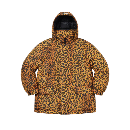 Supreme Gore-Tex 700-Fill Down Parka Leopard - 20FW