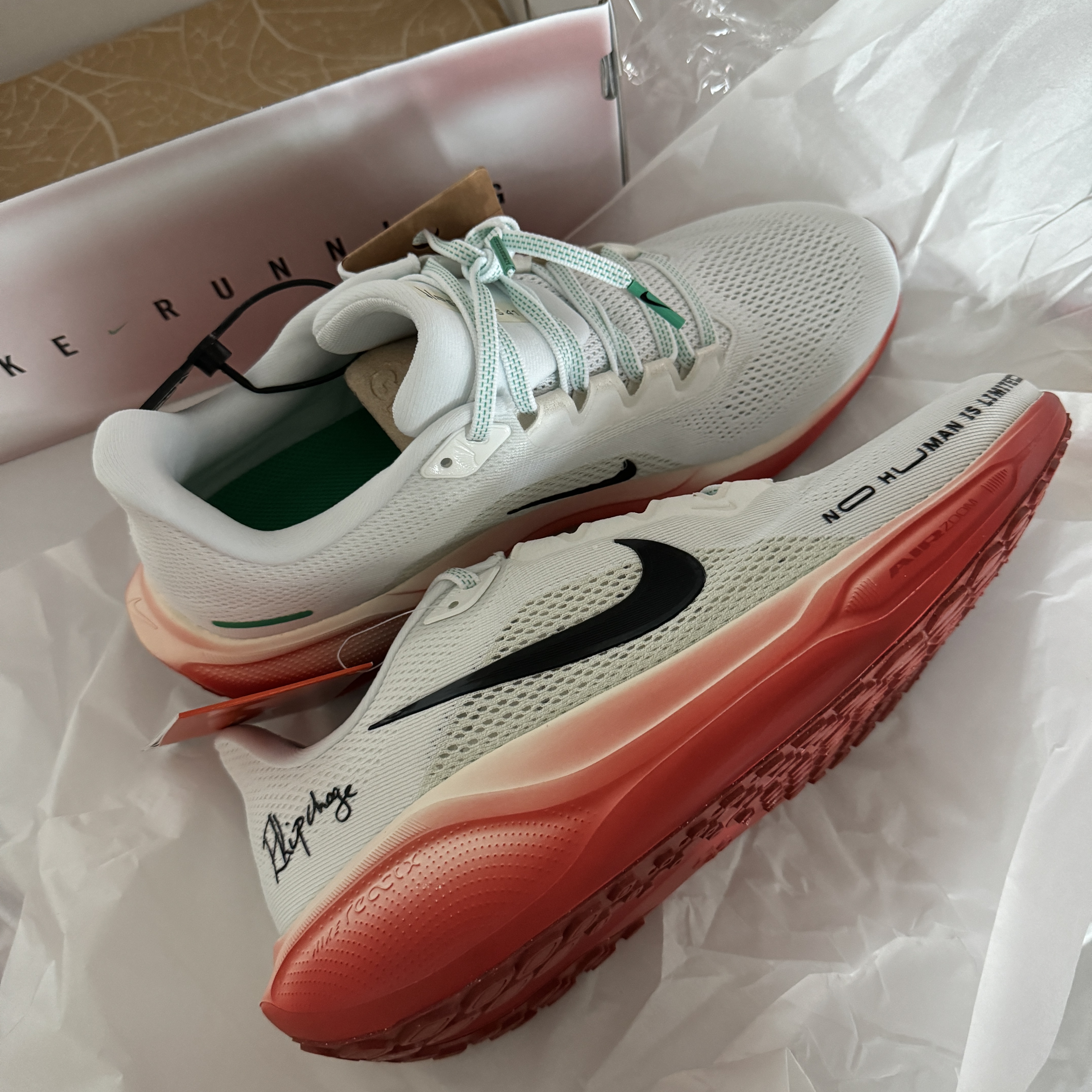 Nike Pegasus 41 Eliud Kipchoge 착용 스타일