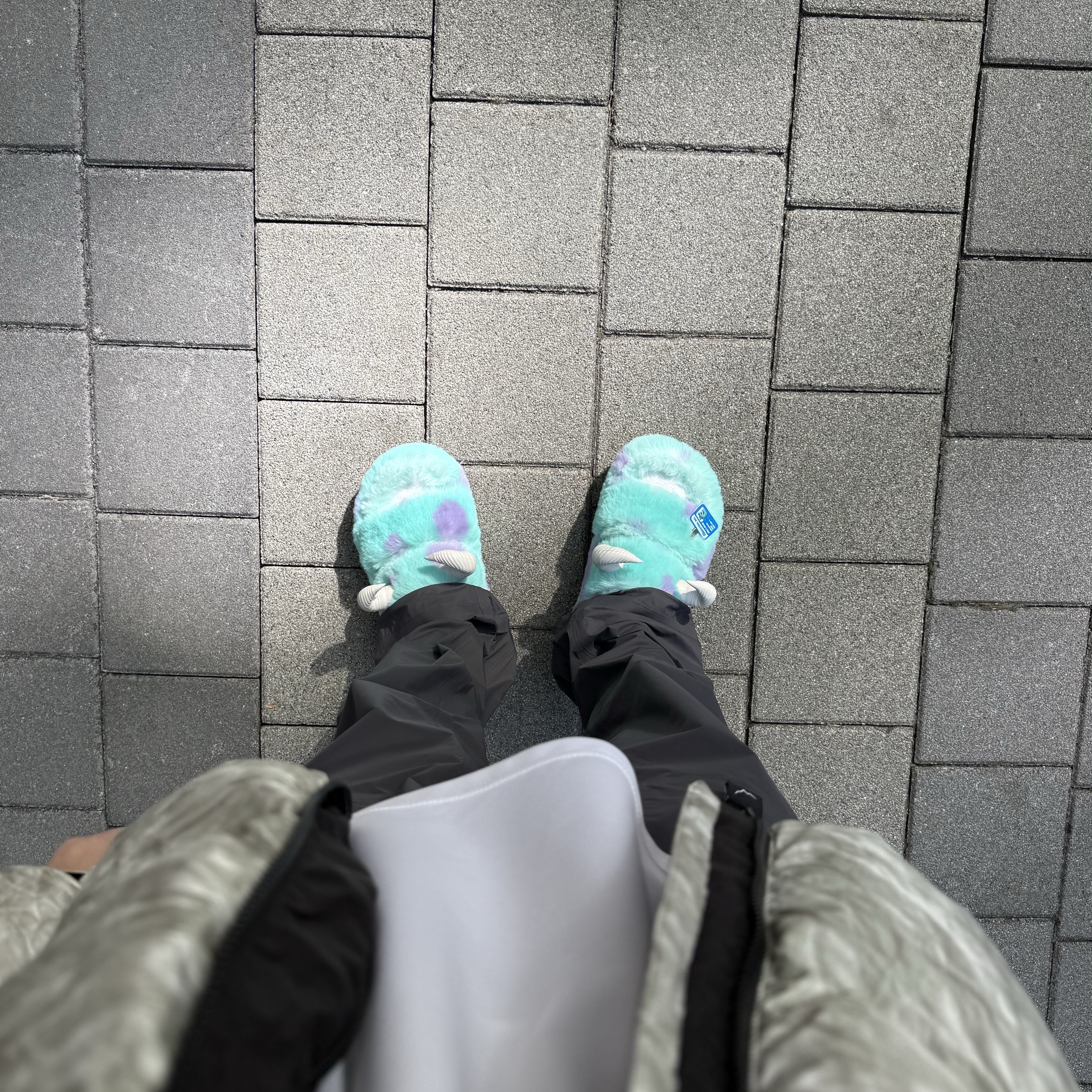 Crocs x Disney Pixar Monters, Inc. Sulley Classic Cozzzy Sandal Multi, Supreme x The North Face Paper Print Nuptse Jacket - 19FW 착용 스타일