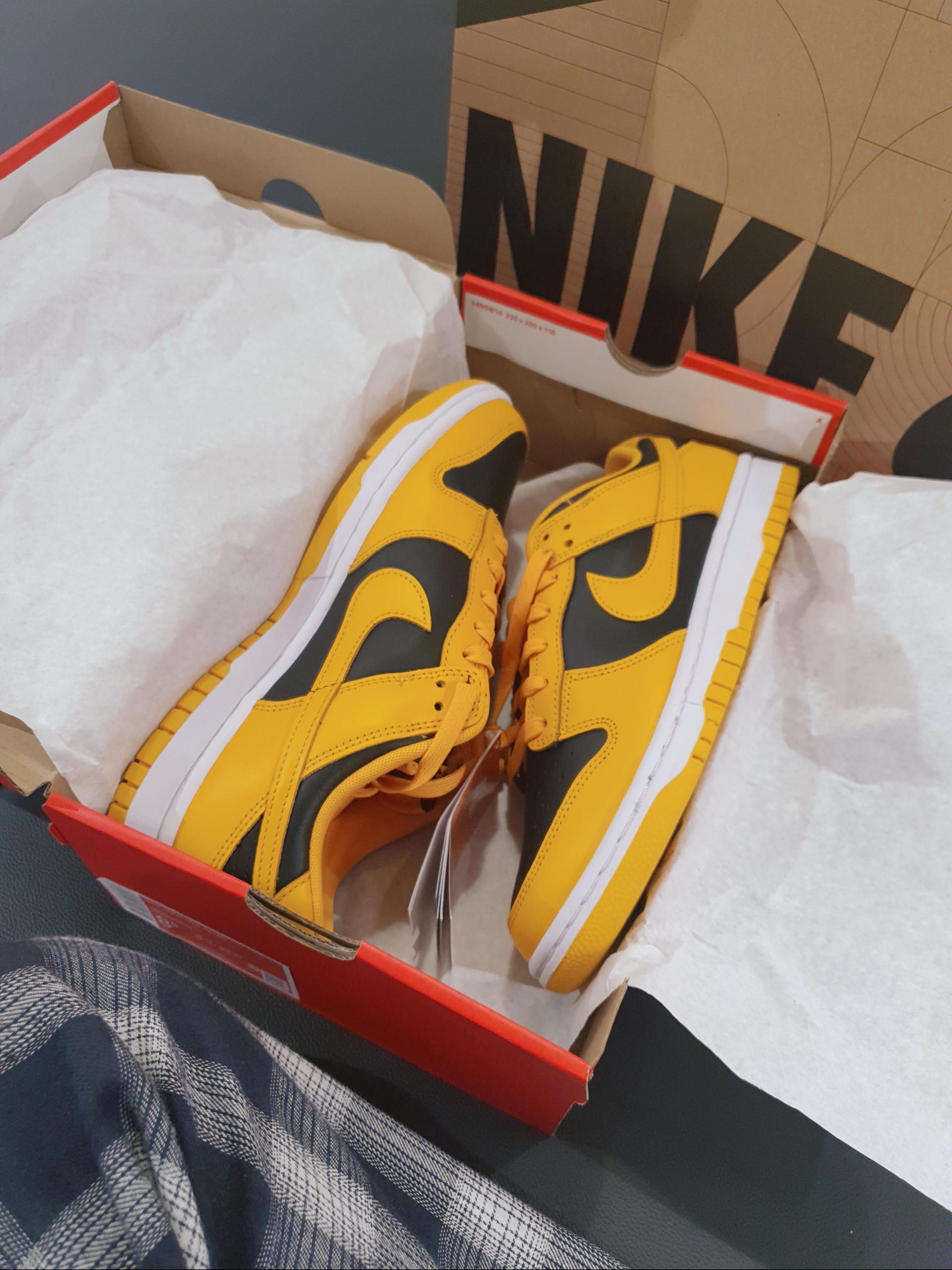 Nike Dunk Low Retro Championship Goldenrod 착용 스타일