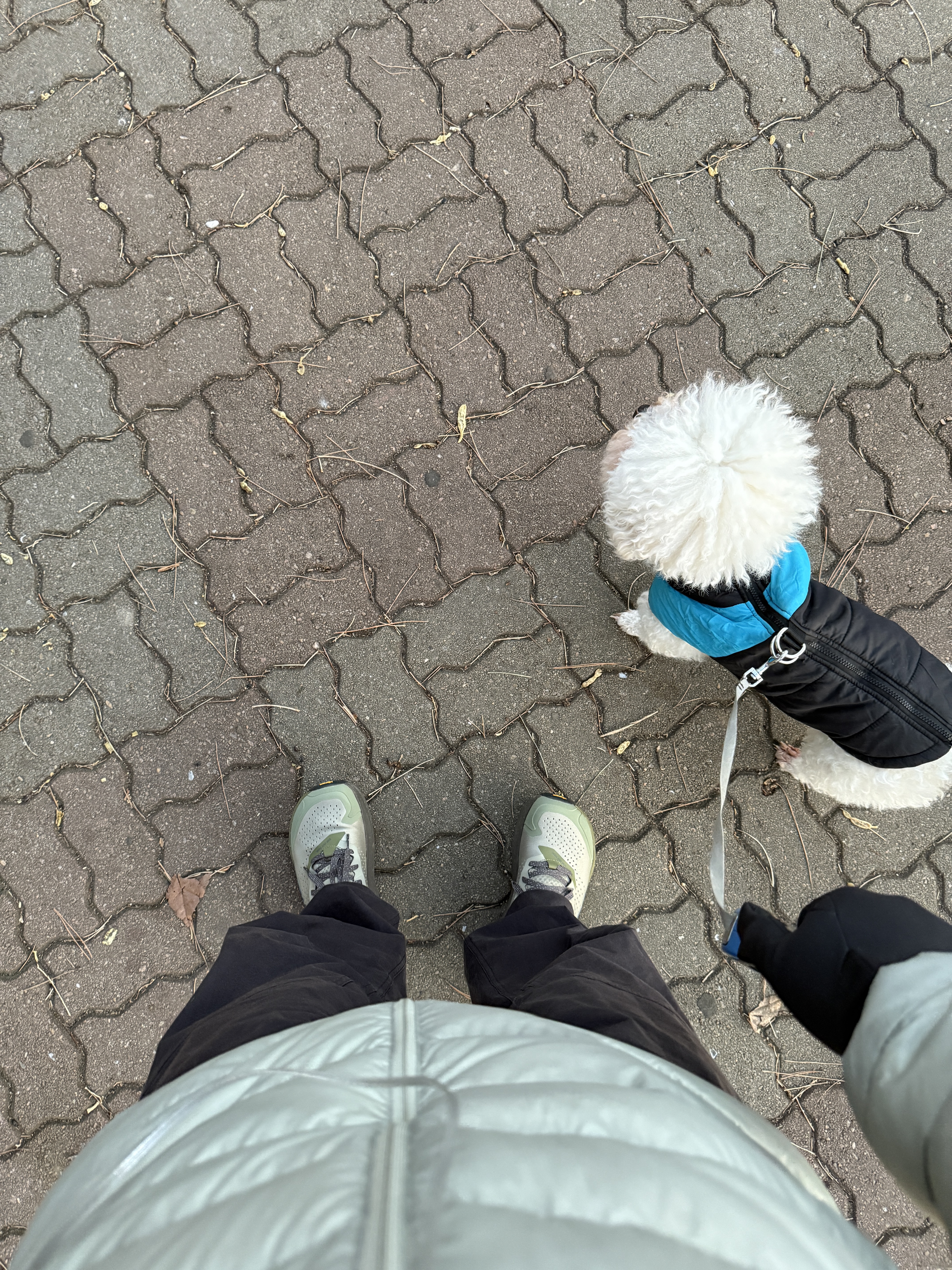 Arc'teryx Cronin Cotton Pants Black, Arc'teryx Cerium Hoody Habitat 착용 스타일