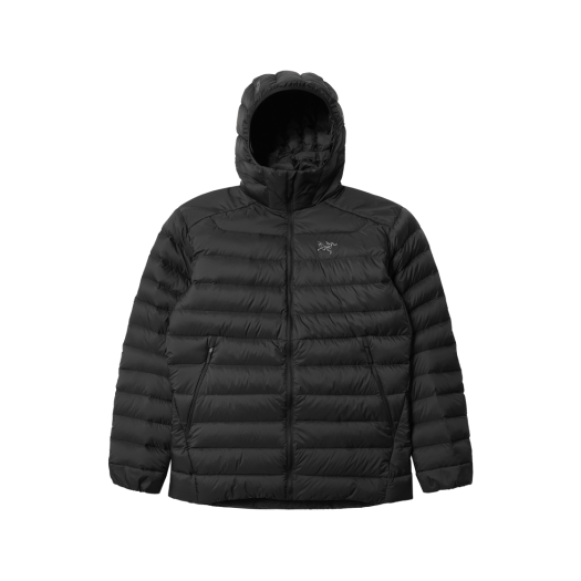 아크테릭스 베타 SV 자켓 디스토션 | Arc'teryx | KREAM