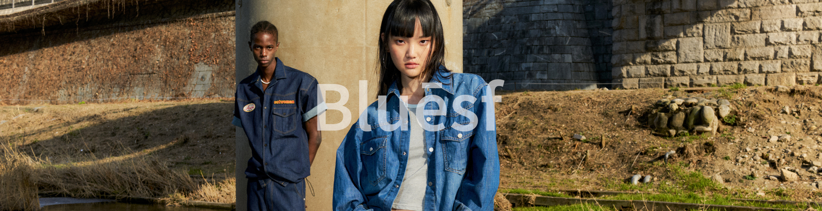 블루 선플라워(Blue Sunflower)