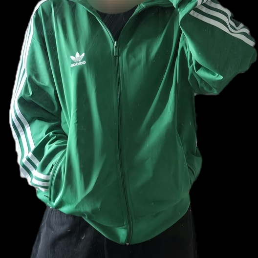 Adidas Adicolor Classic Firebird Track Top Green - KR Sizing 착용 스타일