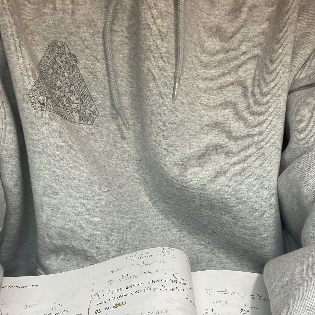 Palace Zodiac Tri-Ferg Hood Grey Marl - 25SS 착용 스타일