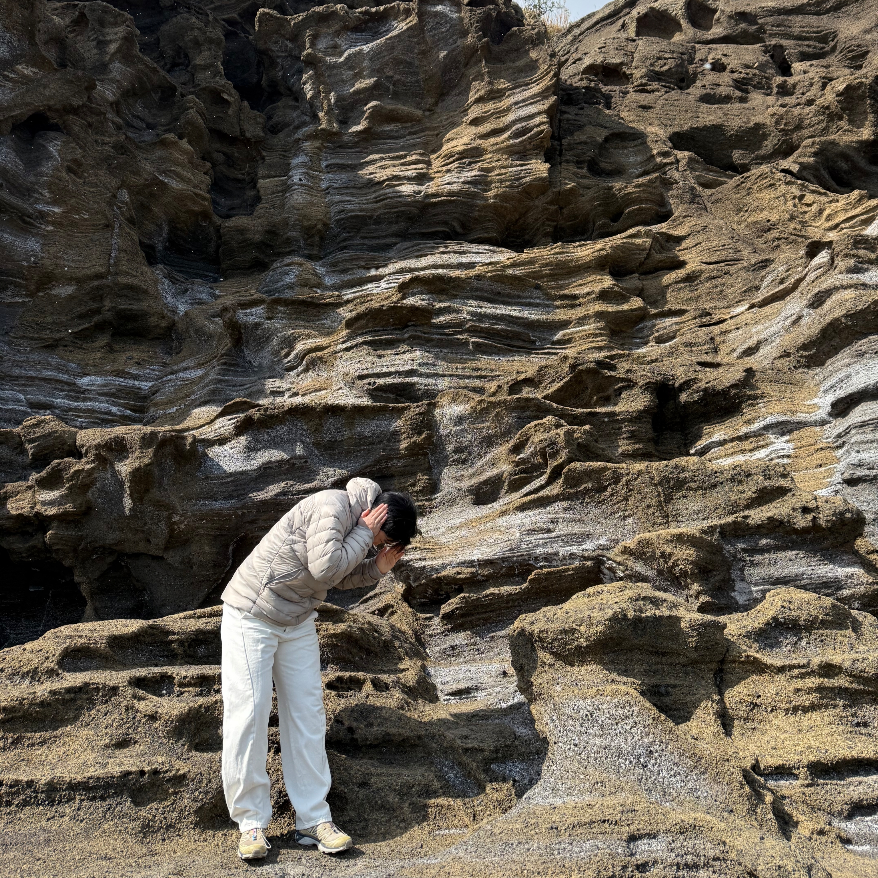 Arc'teryx Cerium Hoody Rune, Salomon XT-6 Clear Safari Vanila Ice 착용 스타일