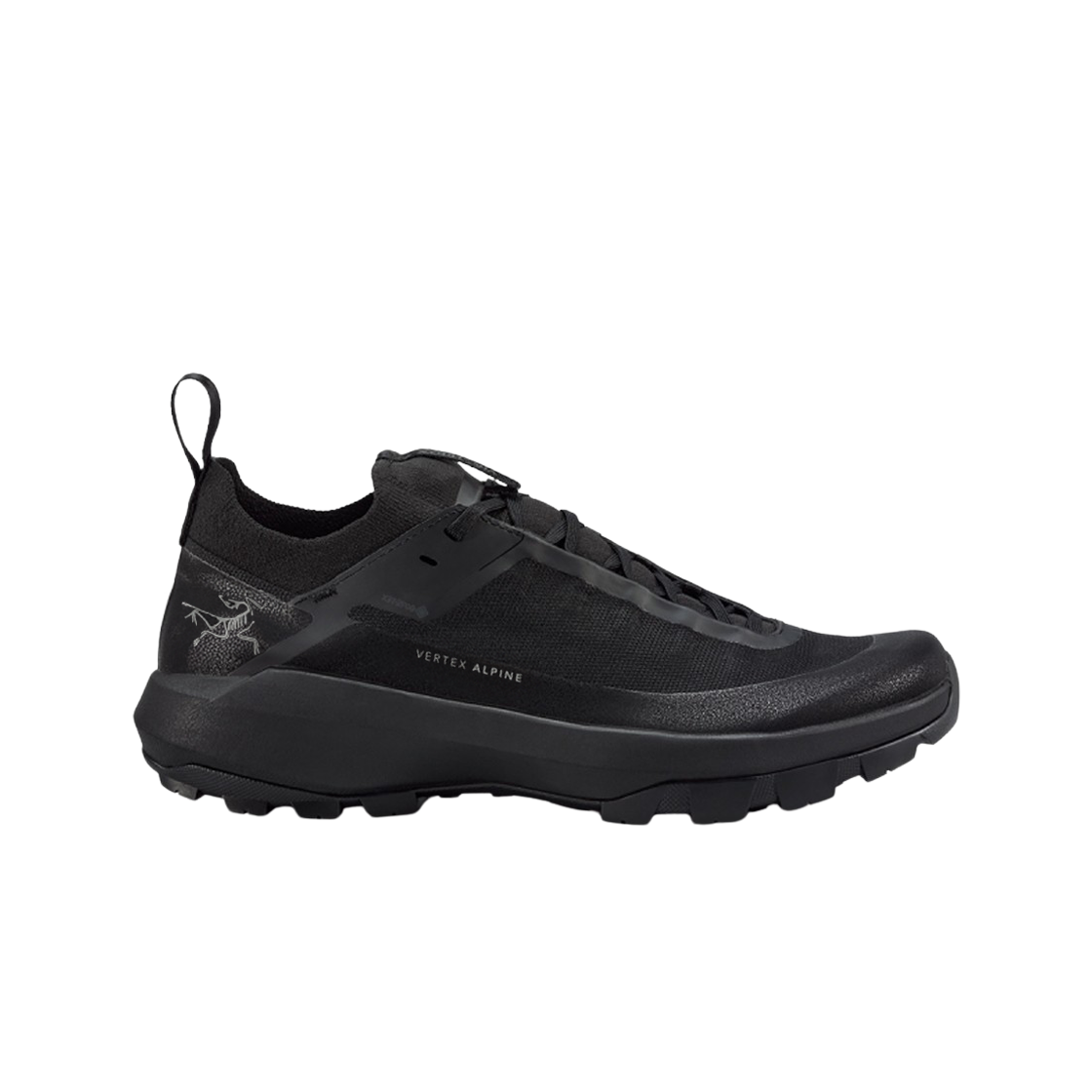 아크테릭스 버텍스 알파인 고어텍스 블랙(Arc'teryx Vertex Alpine GTX Black)