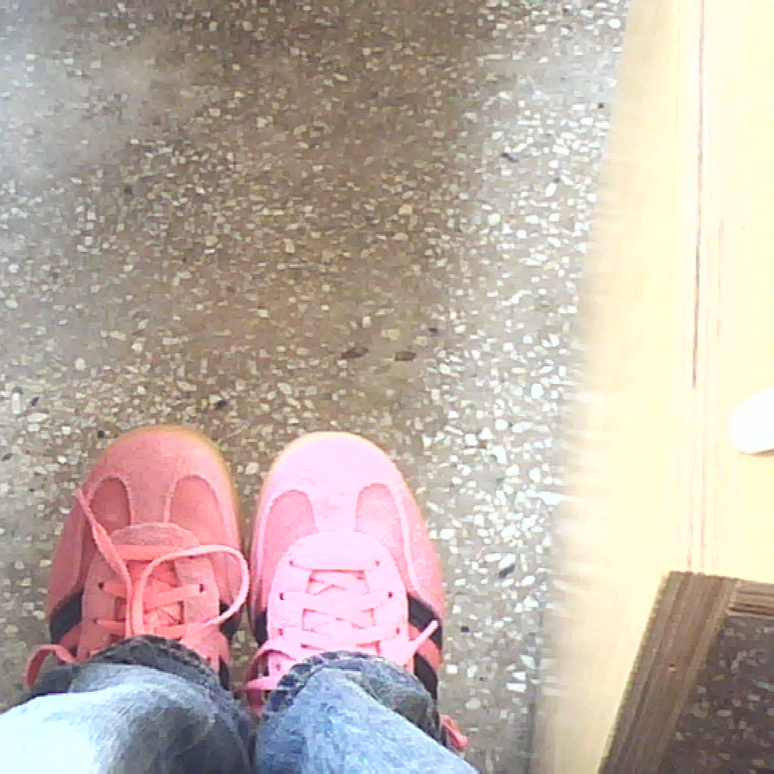 (W) Adidas Gazelle Indoor Bliss Pink, [KREAM 단독] Safarispot Women 1/2 Highway Inn T-Shirt White Red 착용 스타일 - 3