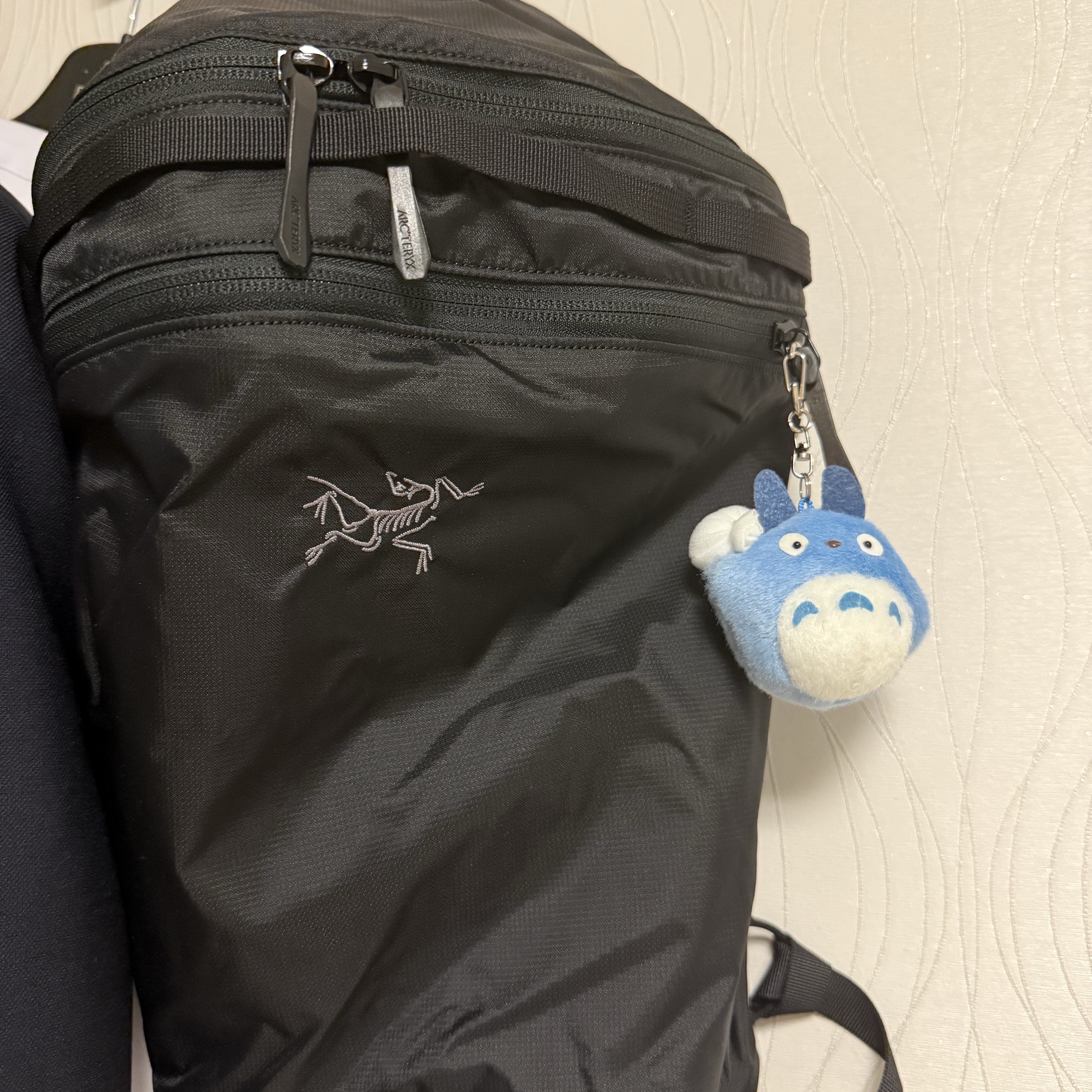 Arc'teryx Heliad 15 Backpack Black 착용 스타일
