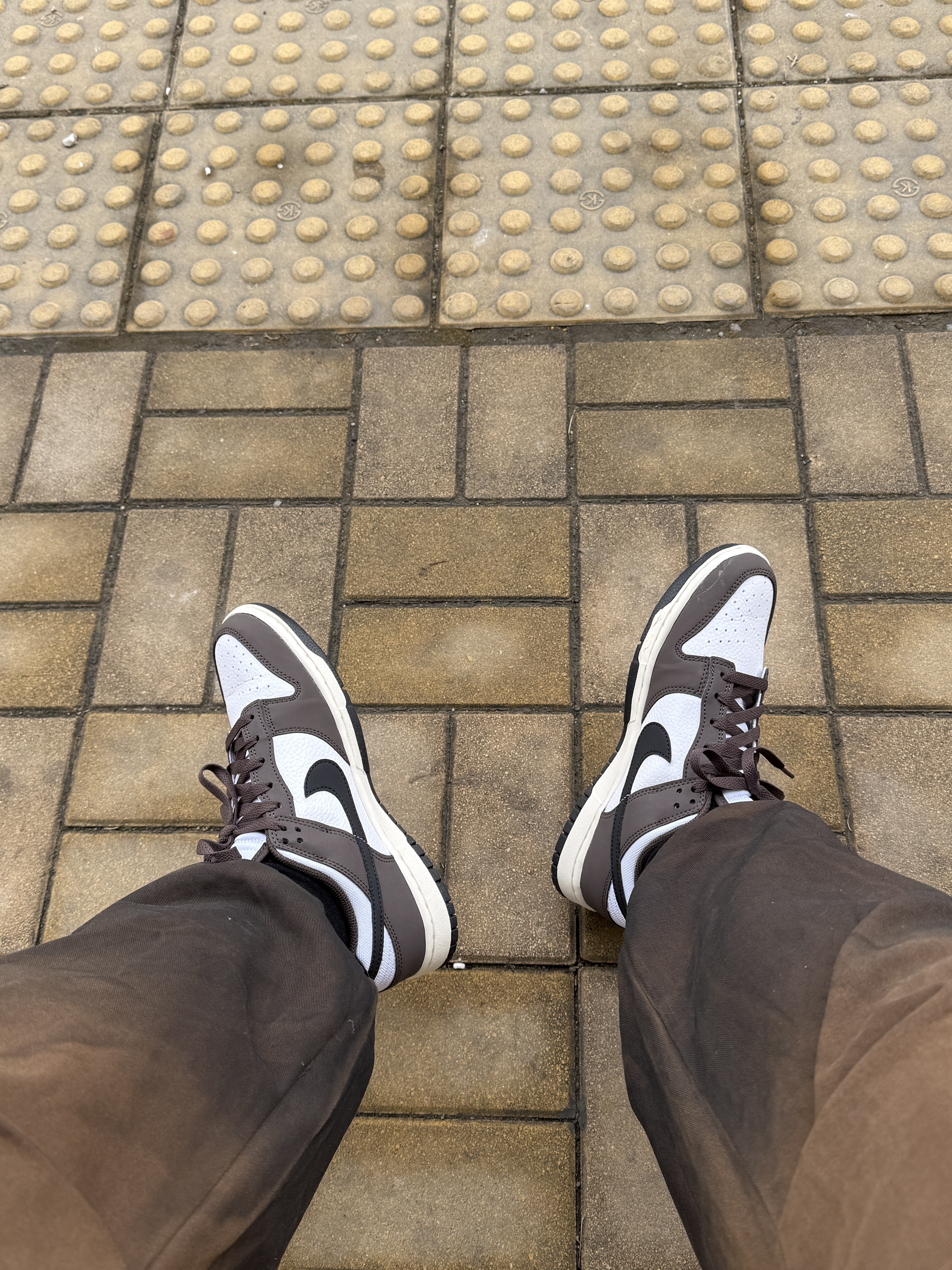Nike Dunk Low Retro Next Nature Baroque Brown White 착용 스타일 - 1