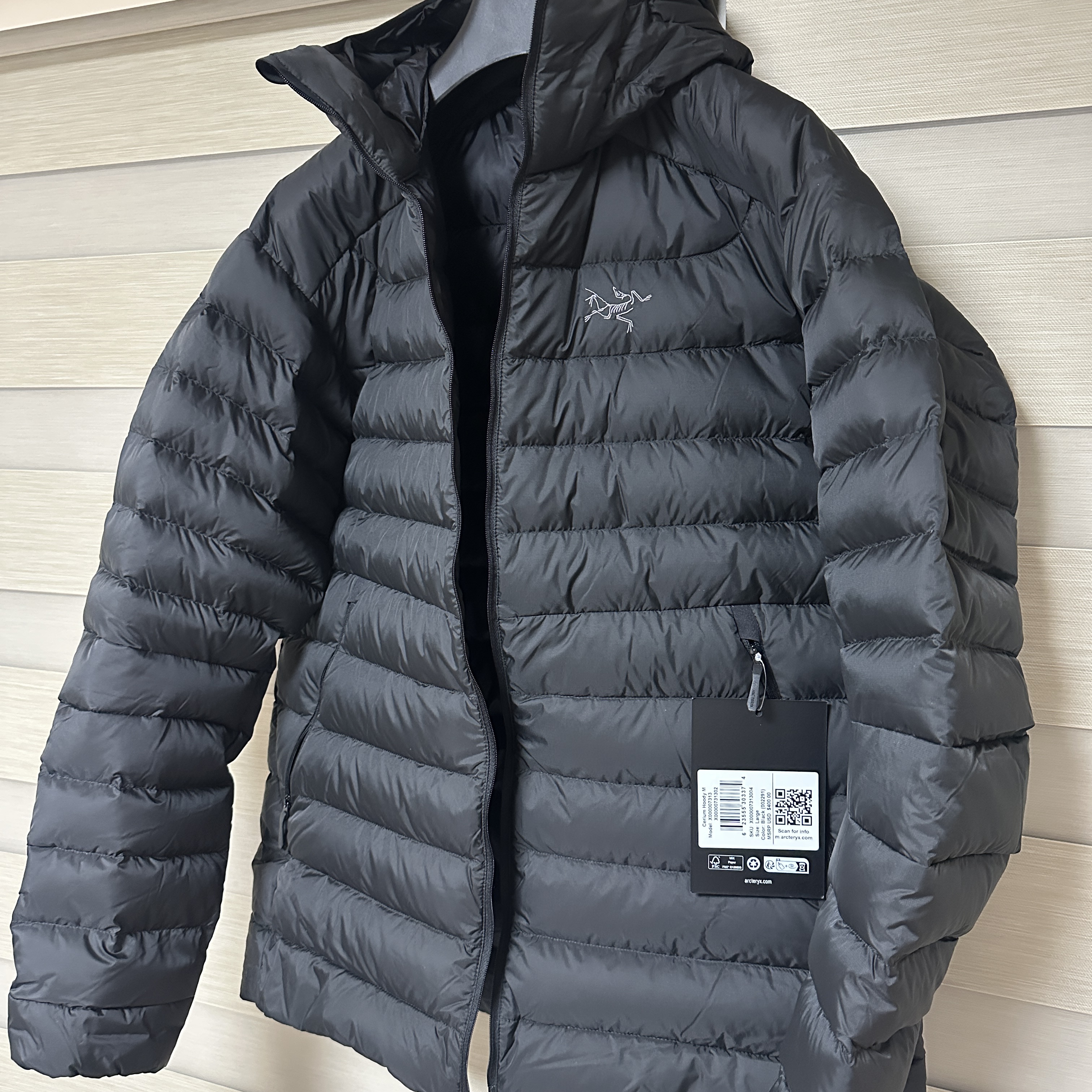 Arc'teryx Cerium Hoody Black 착용 스타일