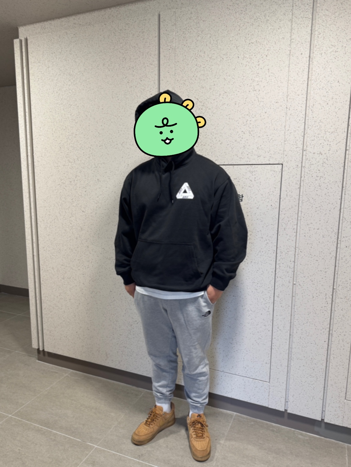 Palace Seoul 2 Seoul Hoodie Black - 25SS, Nike Air Force 1 '07 WB Flax 착용 스타일 - 1