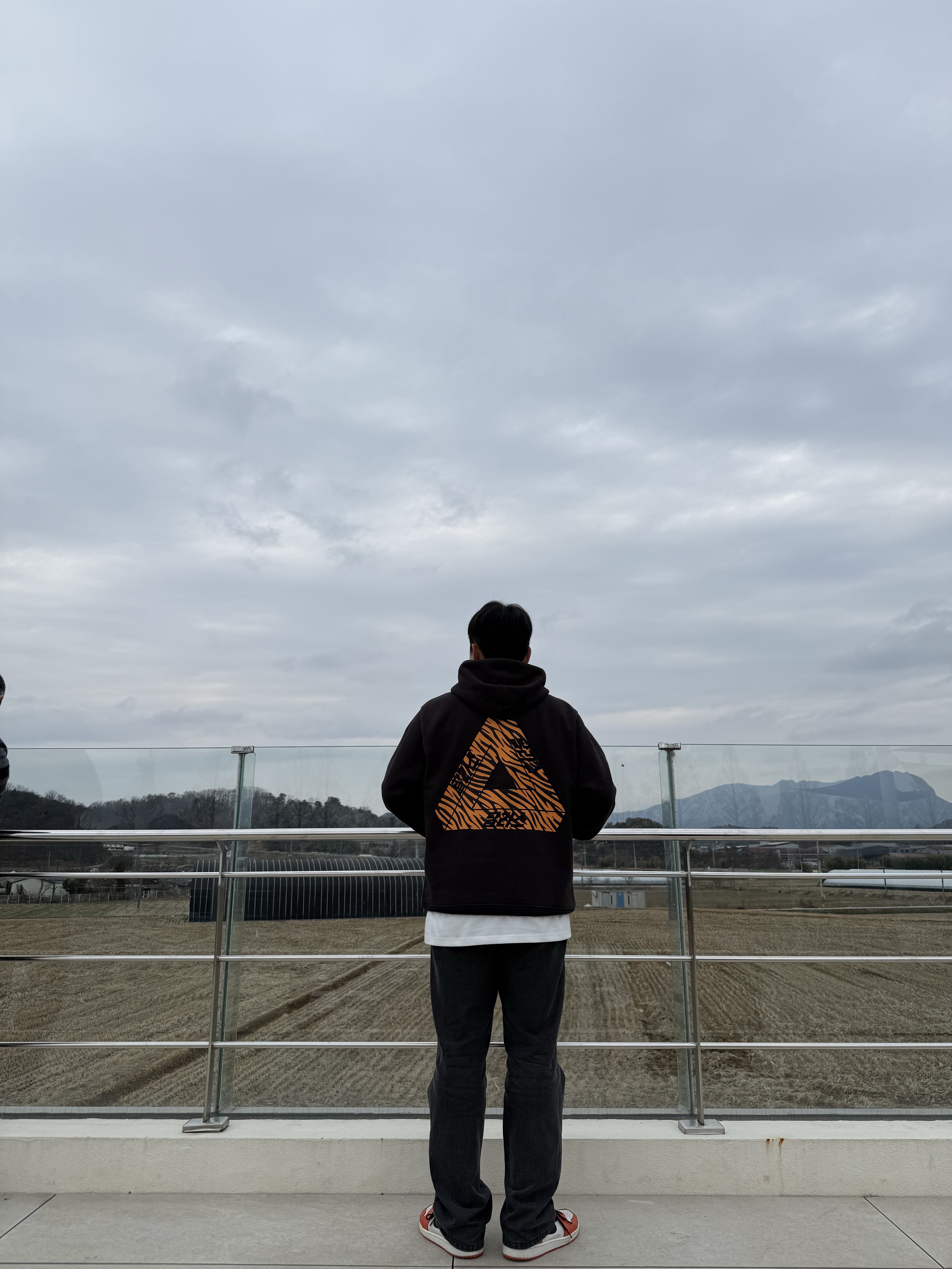 Palace Korea Hoodie Black - 24SS, Jordan 1 Low OG Starfish 착용 스타일 - 2