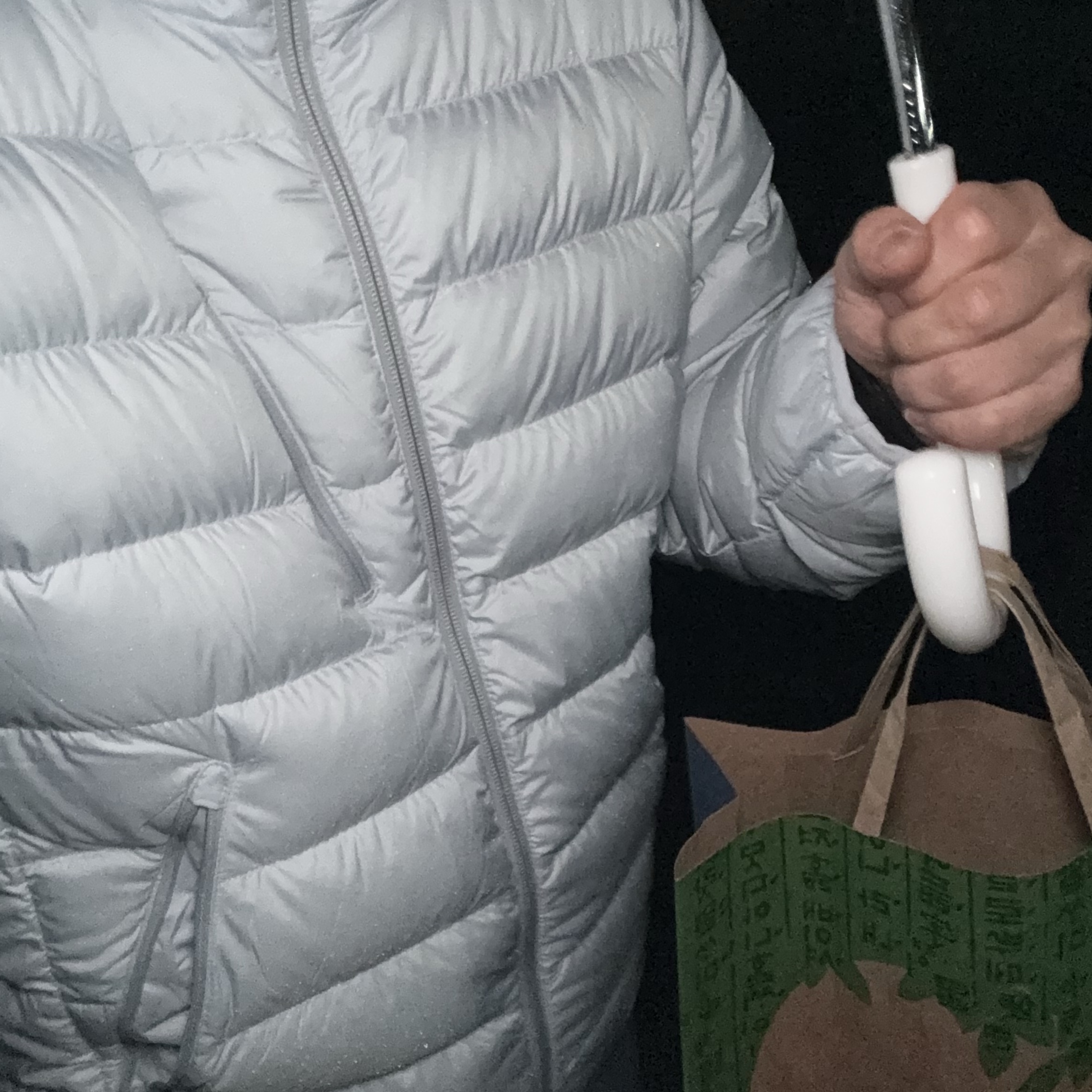 Musinsa Standard City Leisure Hooded Light Down Jacket Cloudy Blue 착용 스타일 - 1