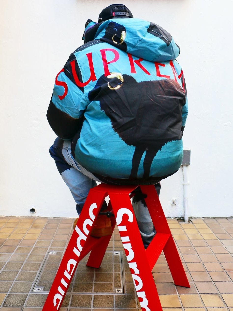Supreme x Damien Hirst Down Puffer Jacket Black - 25SS 착용 스타일 - 1