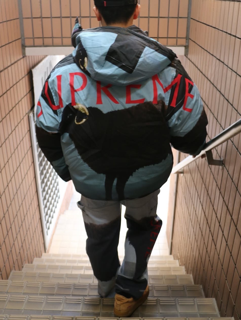 Supreme x Damien Hirst Down Puffer Jacket Black - 25SS 착용 스타일 - 2