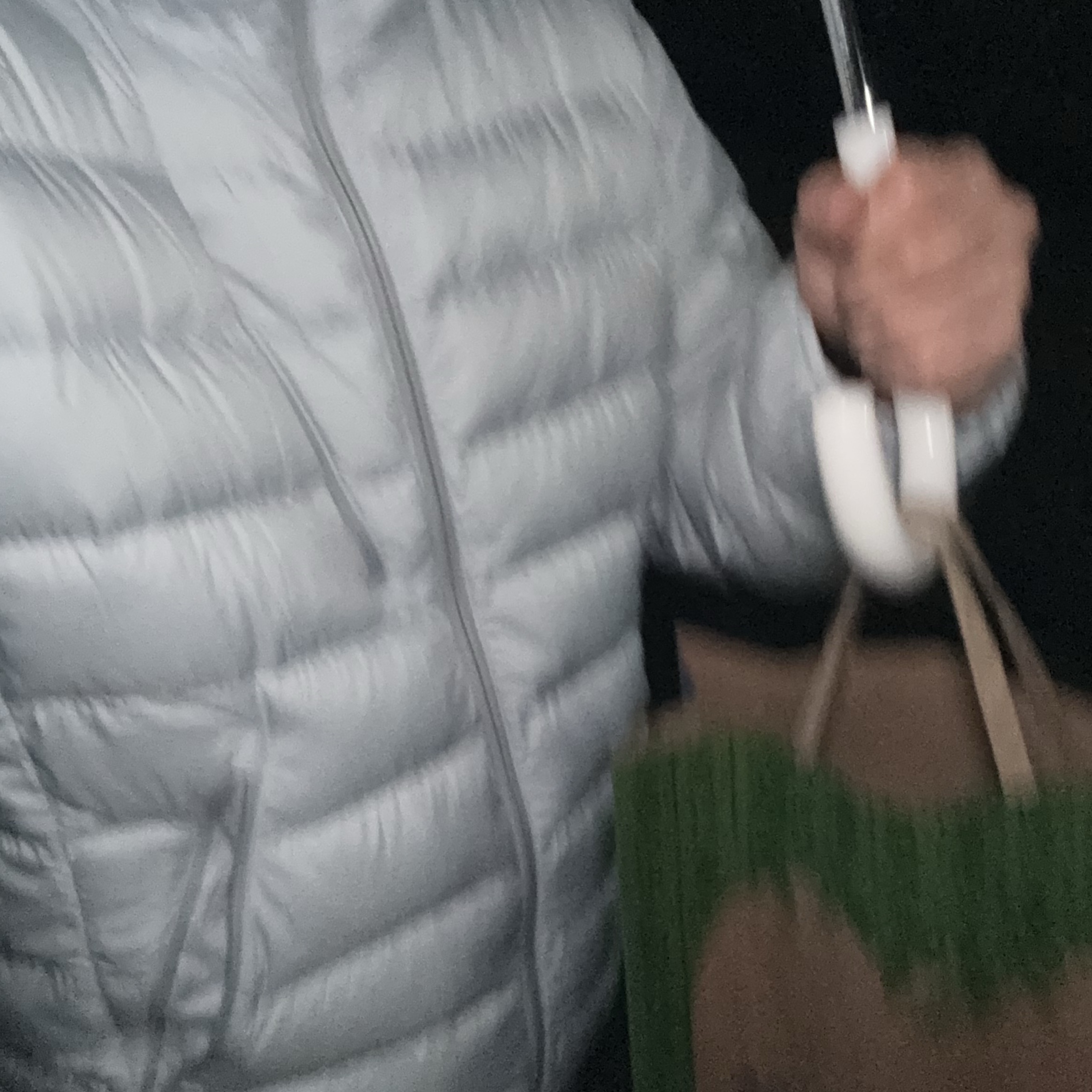 Musinsa Standard City Leisure Hooded Light Down Jacket Cloudy Blue 착용 스타일 - 2