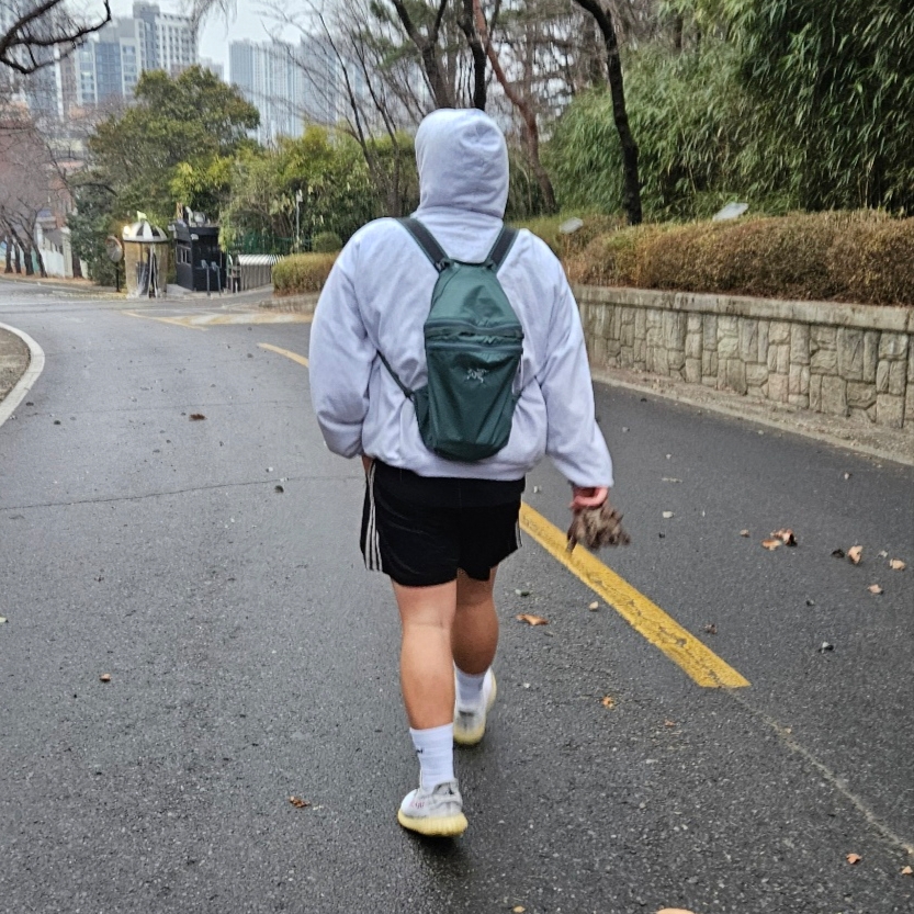 Arc'teryx Heliad 15 Backpack Boxcar, Adidas Yeezy Boost 350 V2 Zebra 2017/2019/2020 착용 스타일 - 3