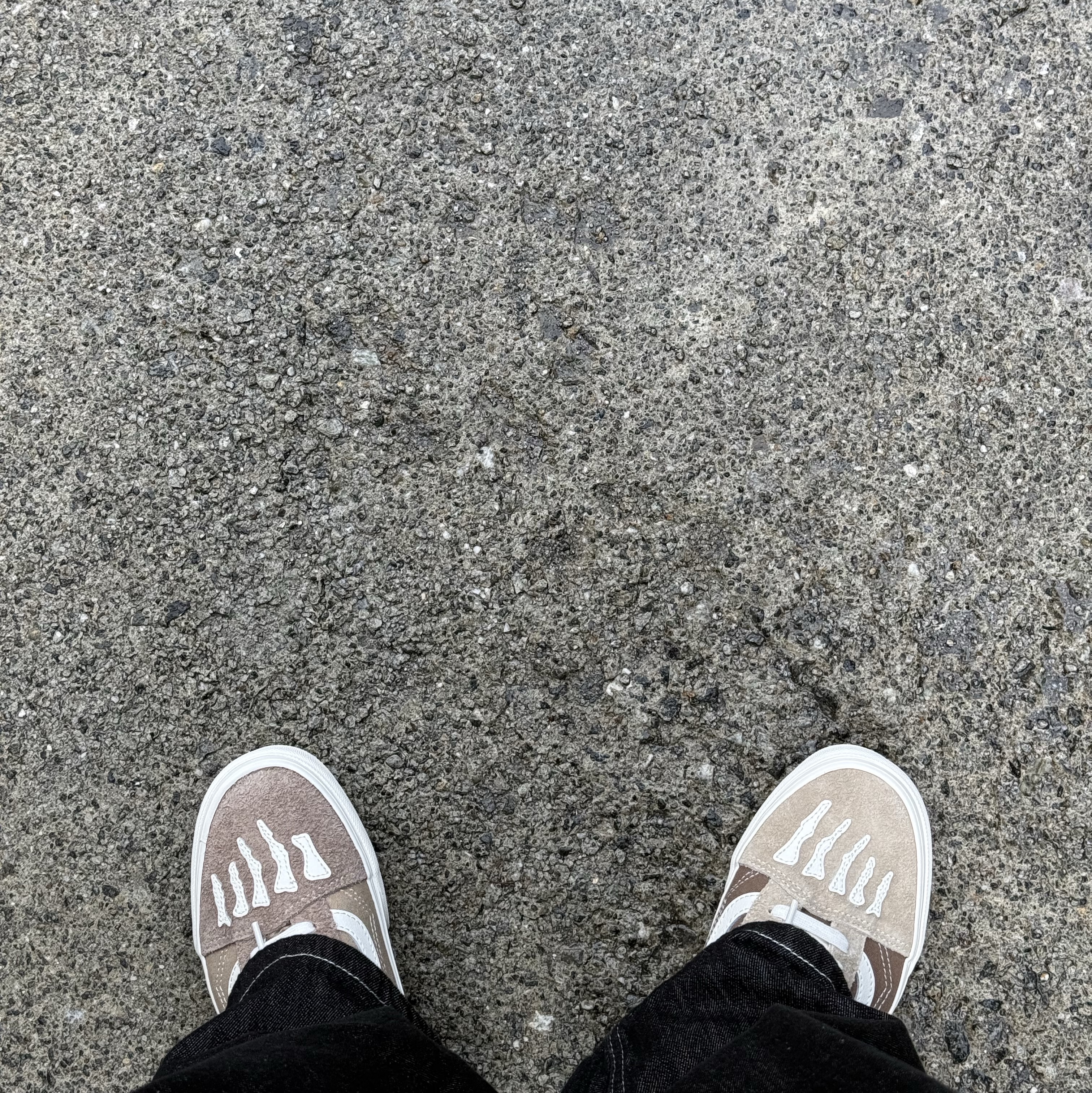 Vans x Mark SBTG Old Skool Incense 착용 스타일
