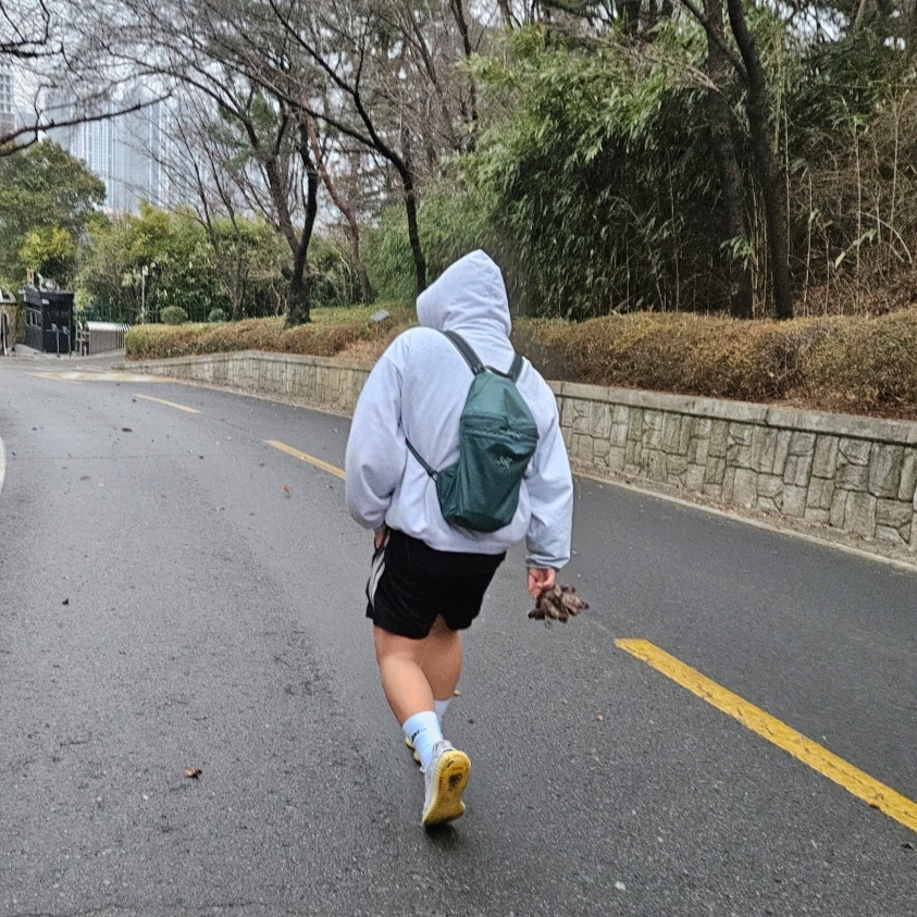 Arc'teryx Heliad 15 Backpack Boxcar, Adidas Yeezy Boost 350 V2 Zebra 2017/2019/2020 착용 스타일 - 2