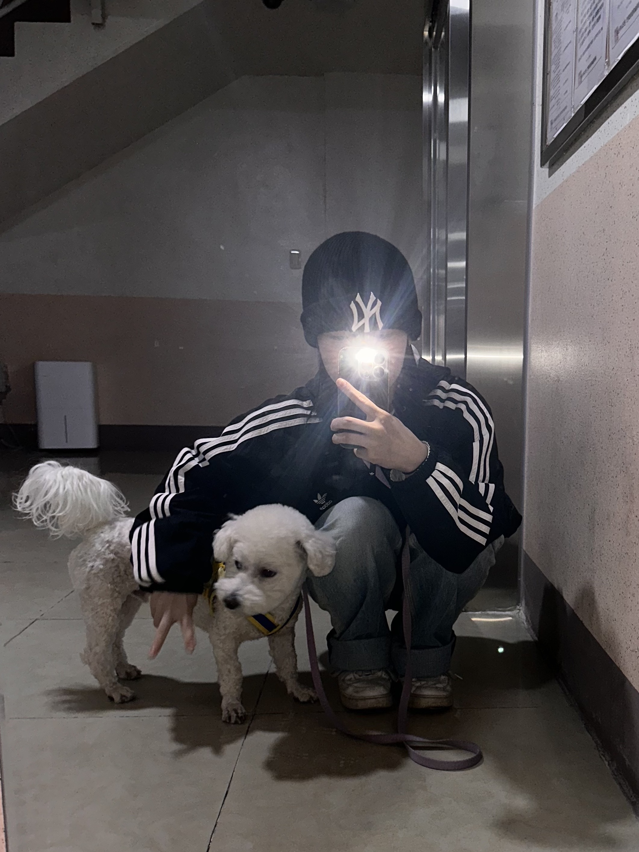 Adidas x Yeseyesee BS Jacket Black - KR Sizing, MLB Short Beanie New York Yankees Black ์ฐฉ์ฉ ์คํ์ผ - 1