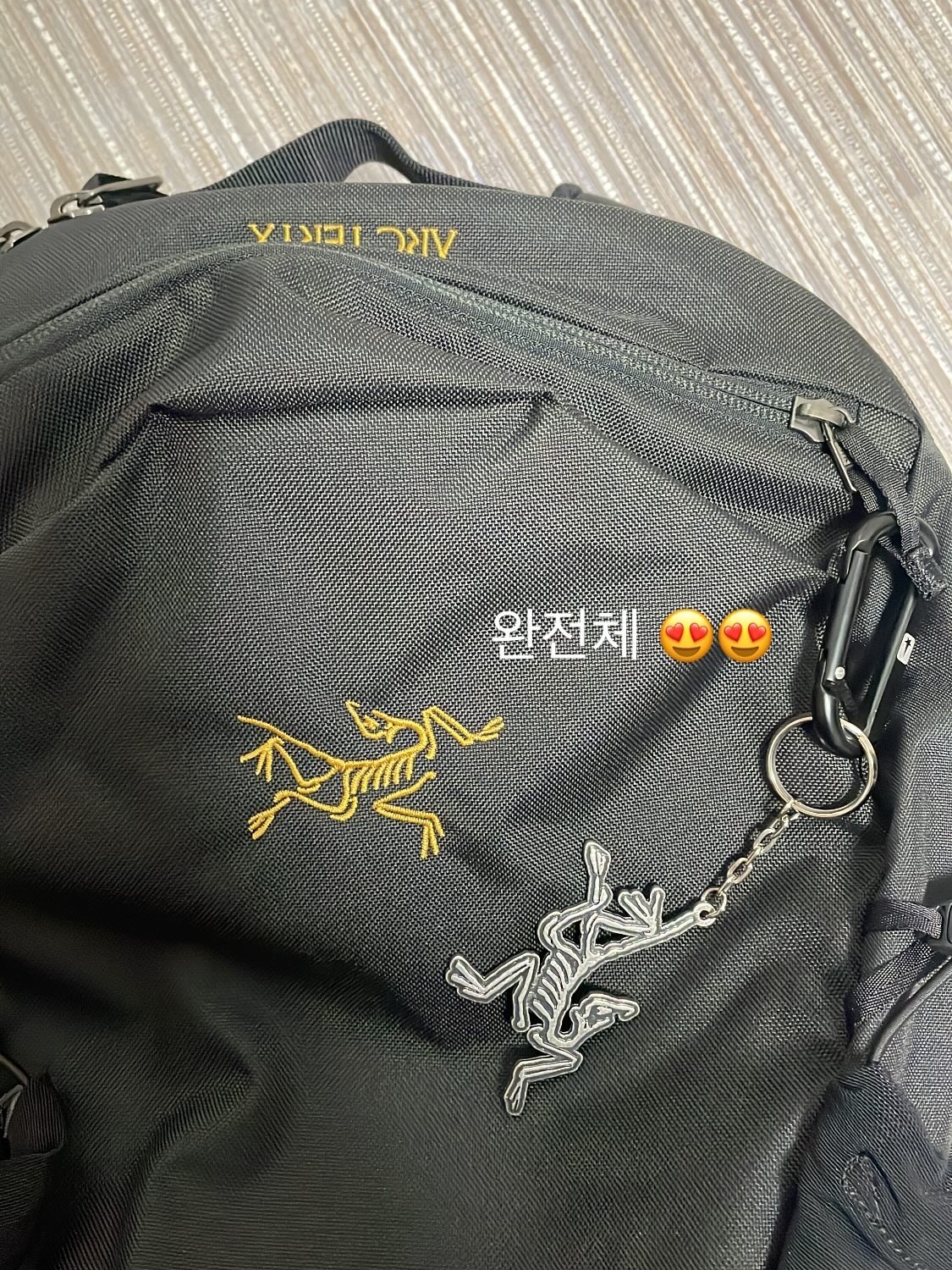 Arc'teryx Mantis 16 Backpack Black, Arc'teryx Keyring Metal 착용 스타일 - 2