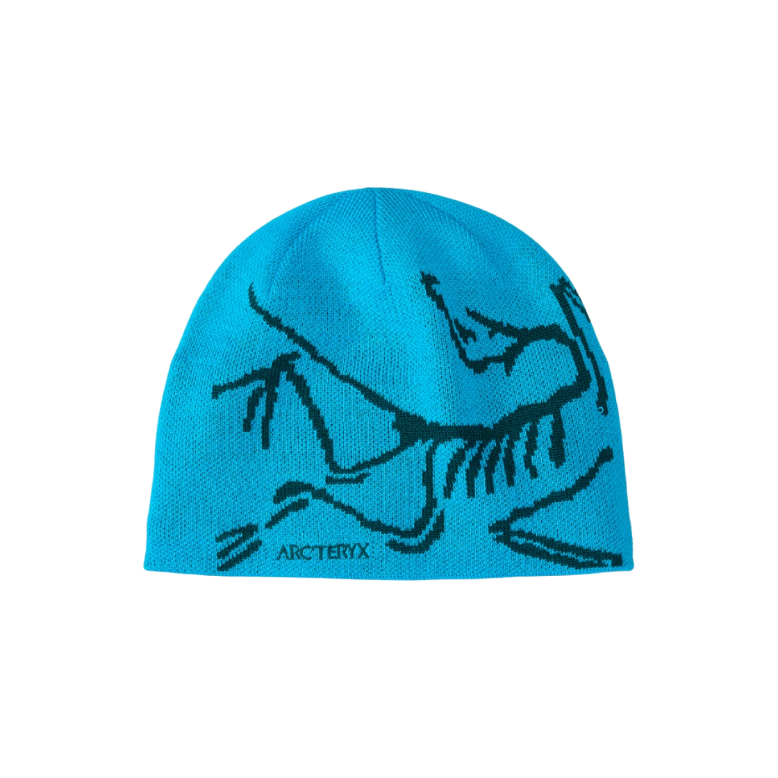 NEW Arc'teryx Bird Head Toque Blue TETRA/PYTHEAS Hat Beanie